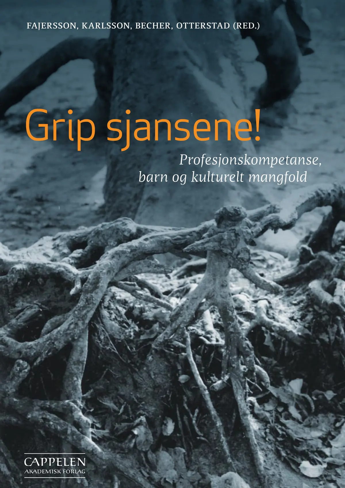 Grip sjansene!
