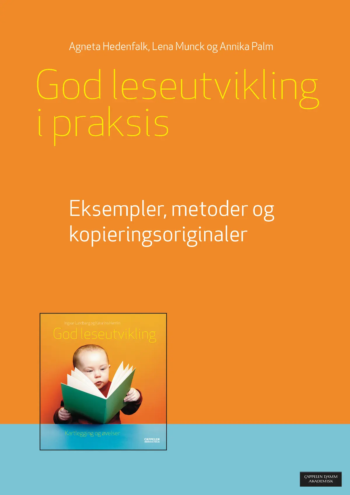 God leseutvikling i praksis
