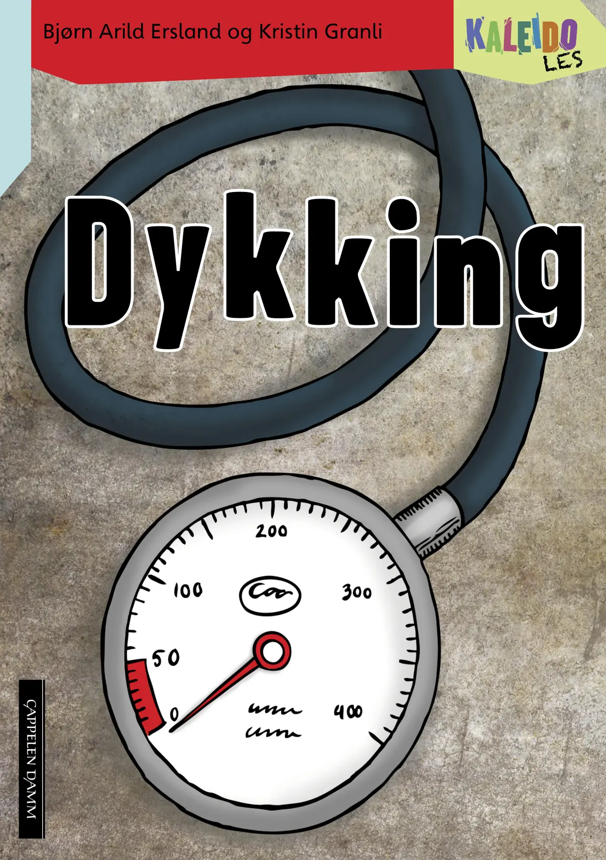 Kaleido Les Nivå 4 Dykking