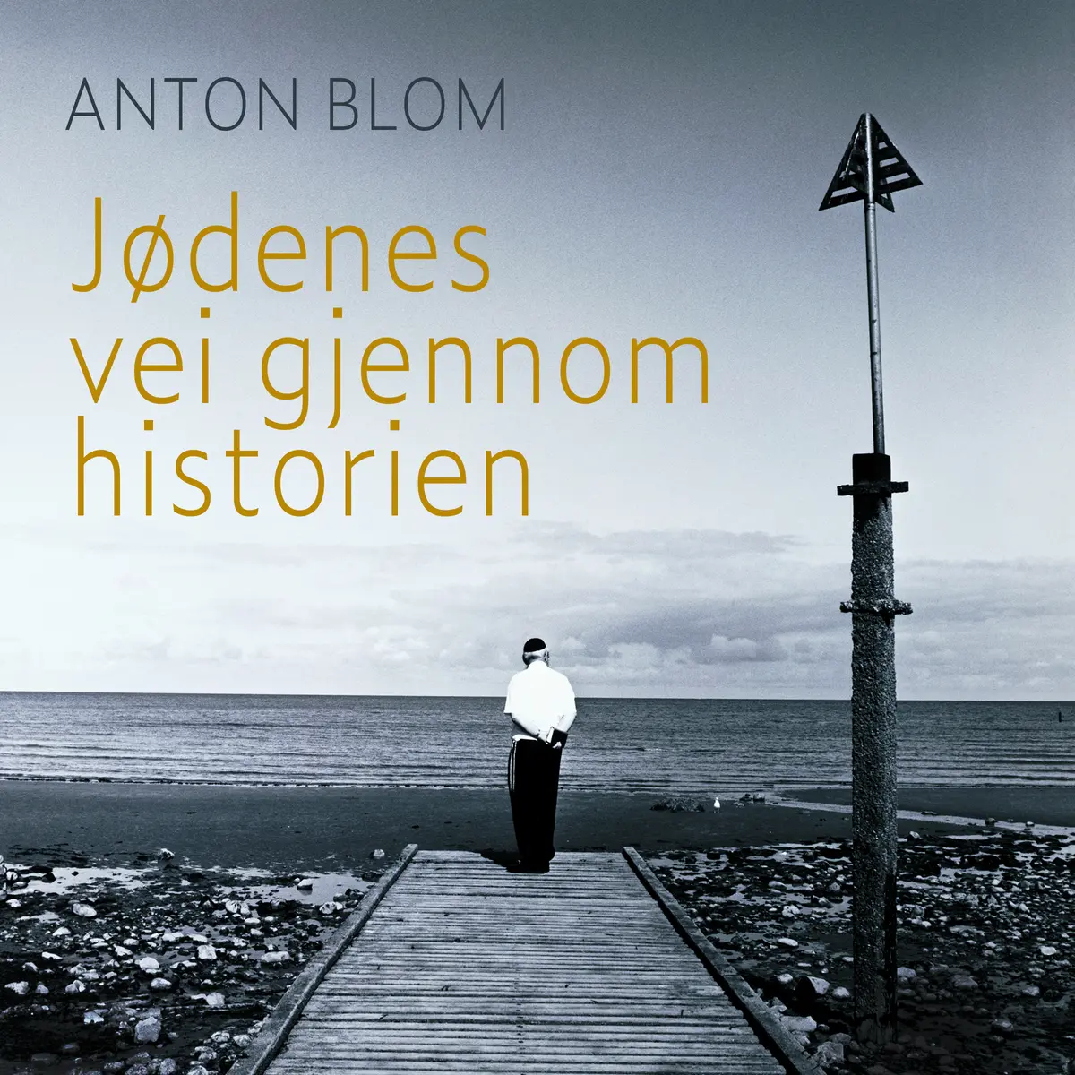 Jødenes vei gjennom historien