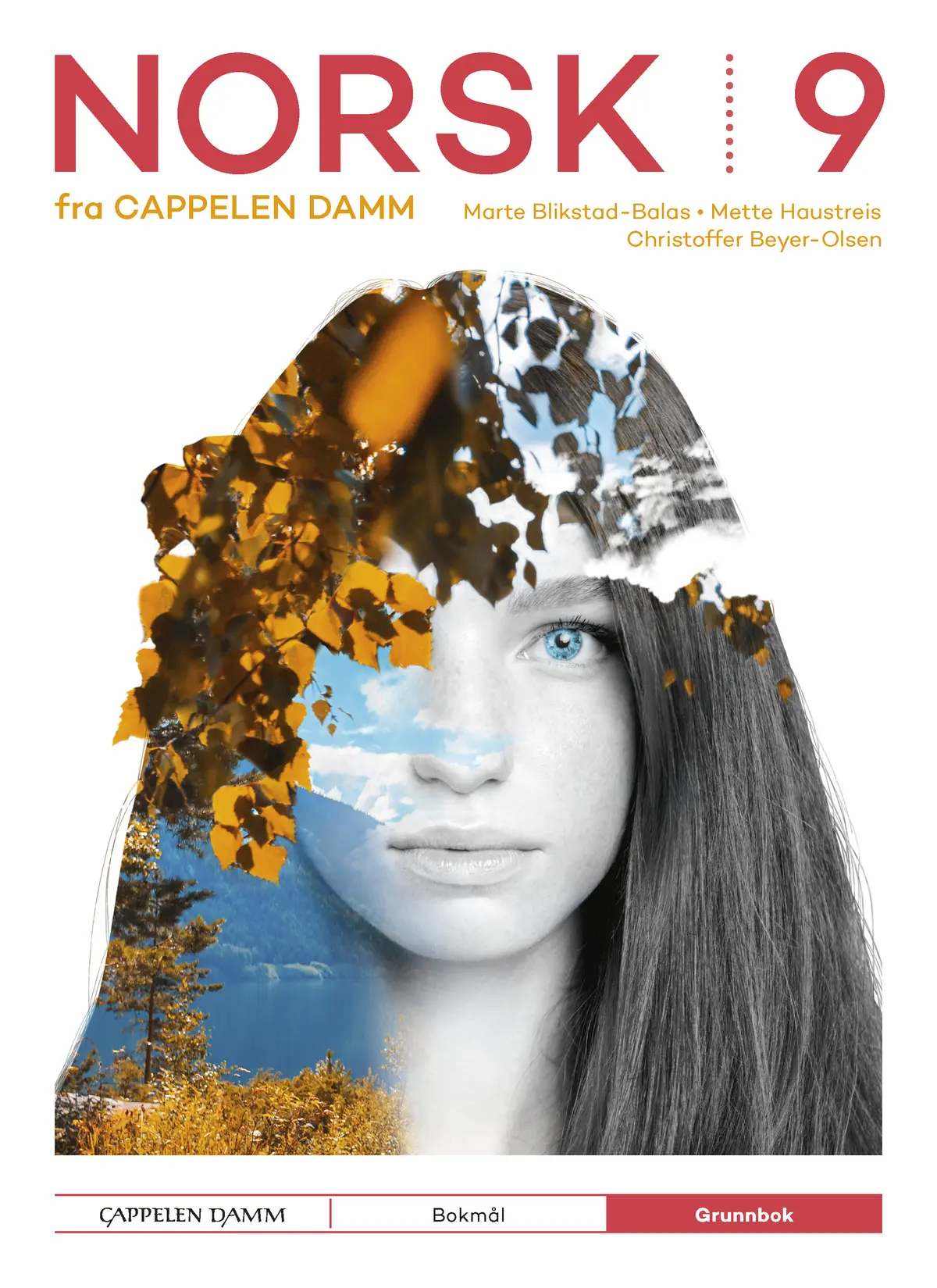 Norsk 9 fra Cappelen Damm Grunnbok