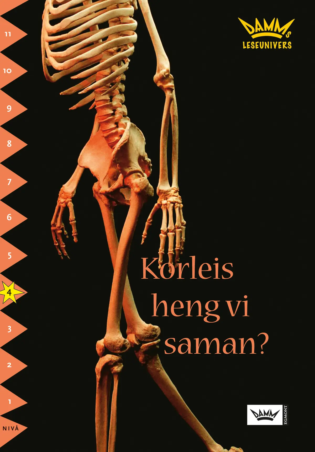 Damms leseunivers 1: Korleis heng vi saman?