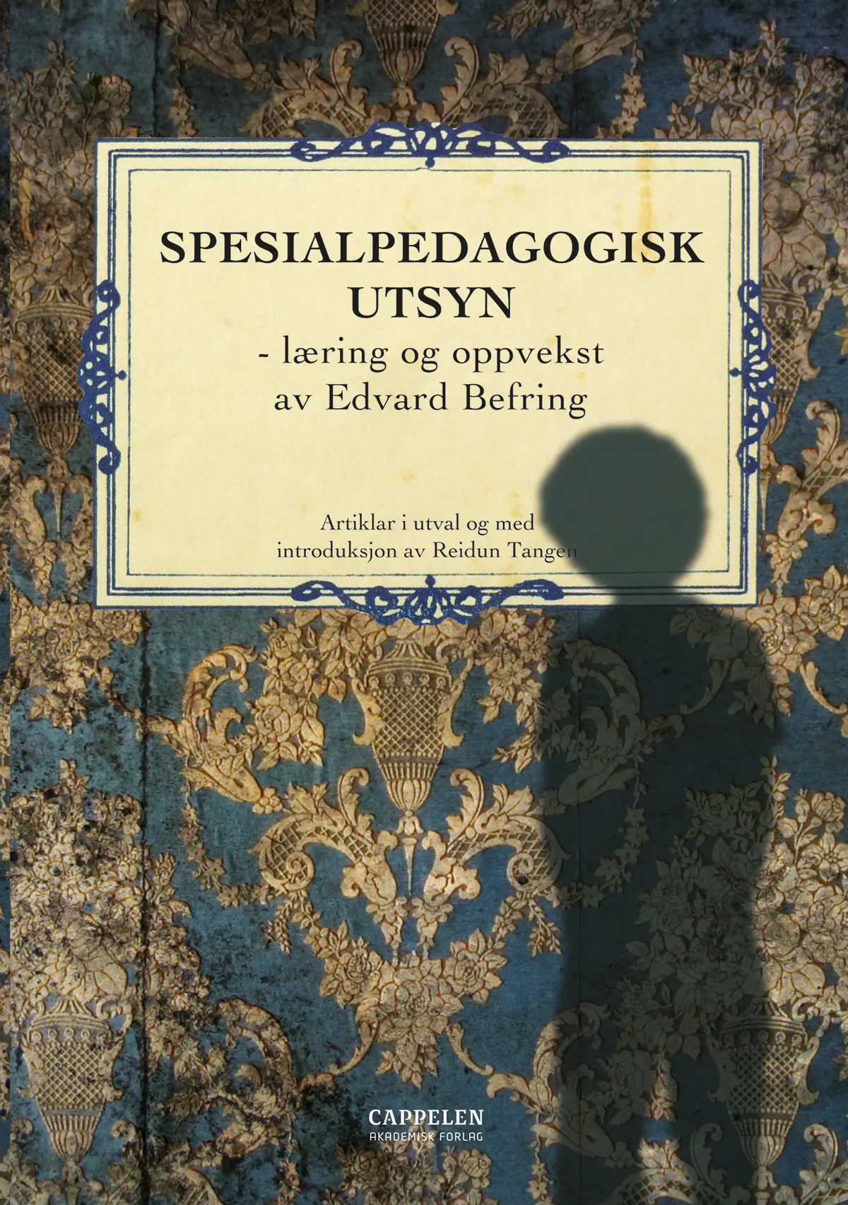 Spesialpedagogisk utsyn - læring og oppvekst