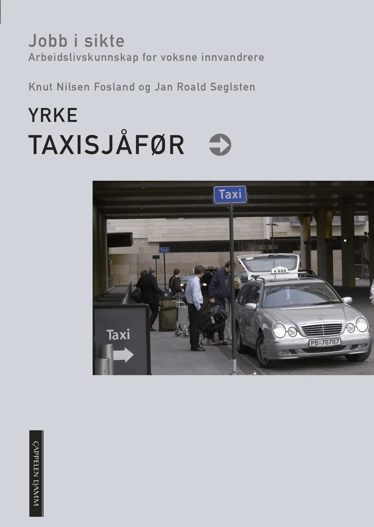 Jobb i sikte. Taxisjåfør