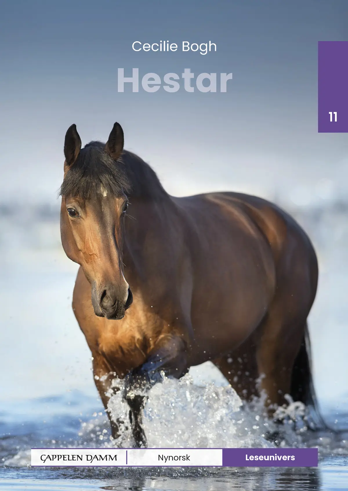 Leseunivers 11: Hestar