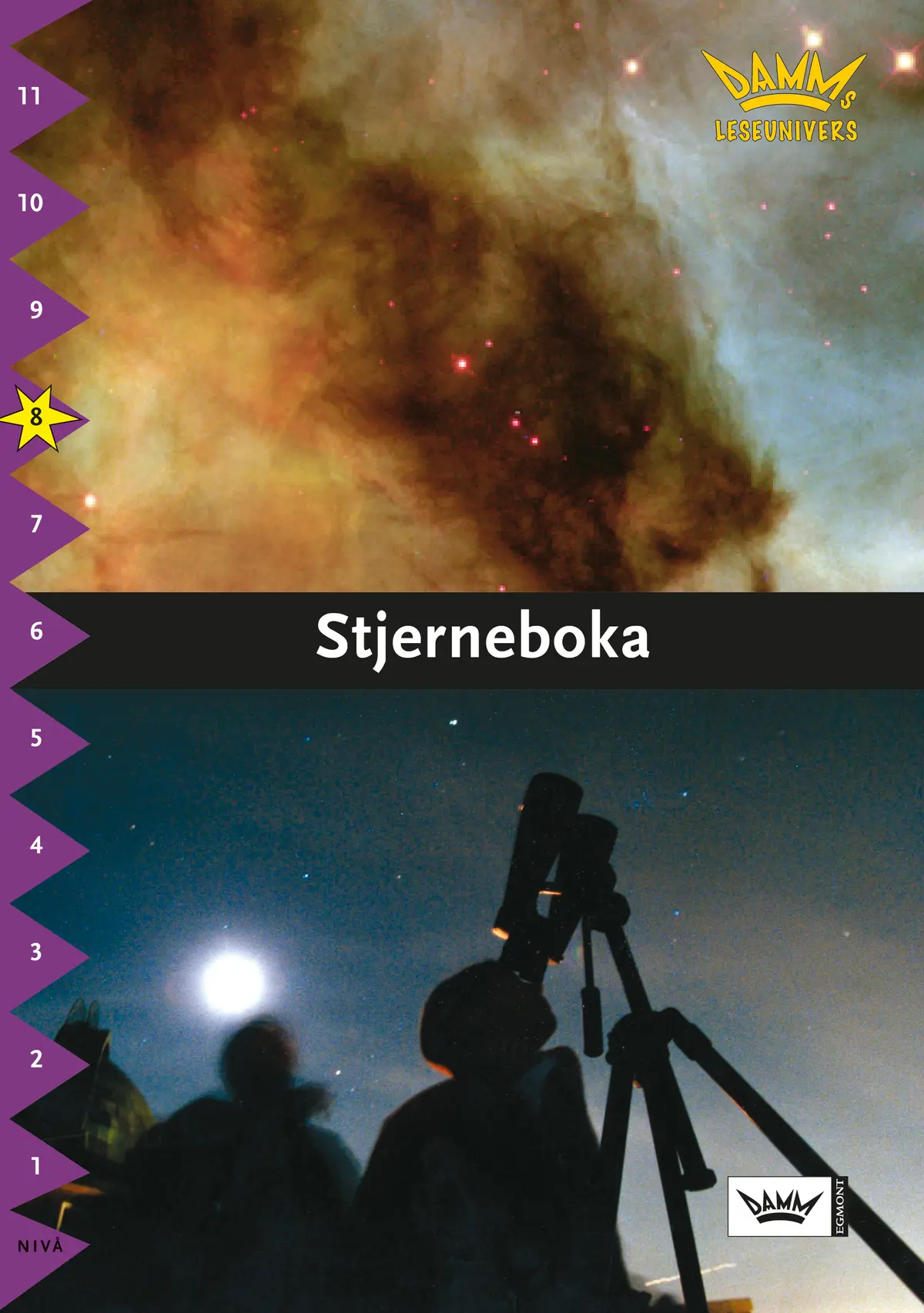Damms leseunivers 1: Stjerneboka