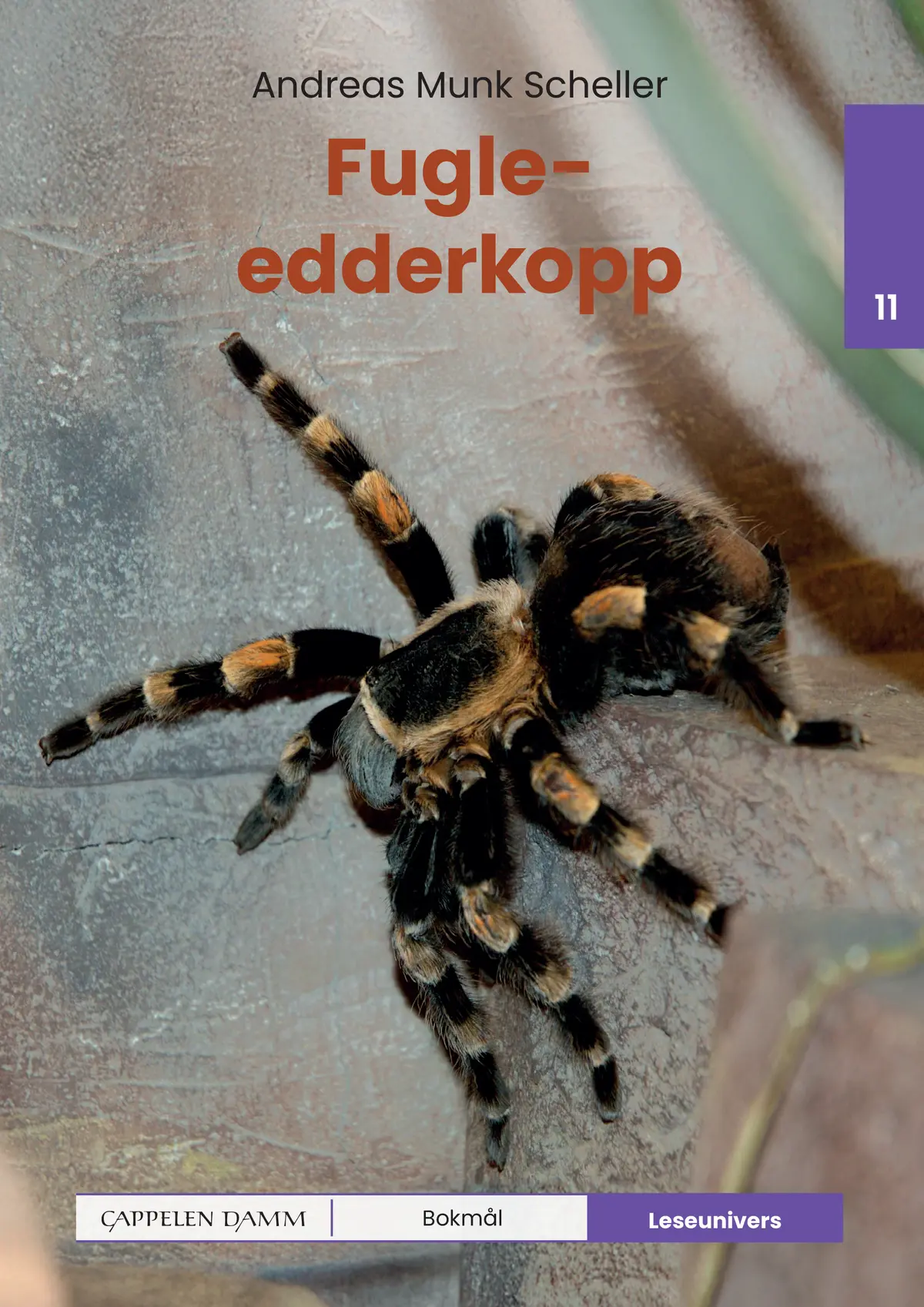 Leseunivers 11: Fugleedderkopp