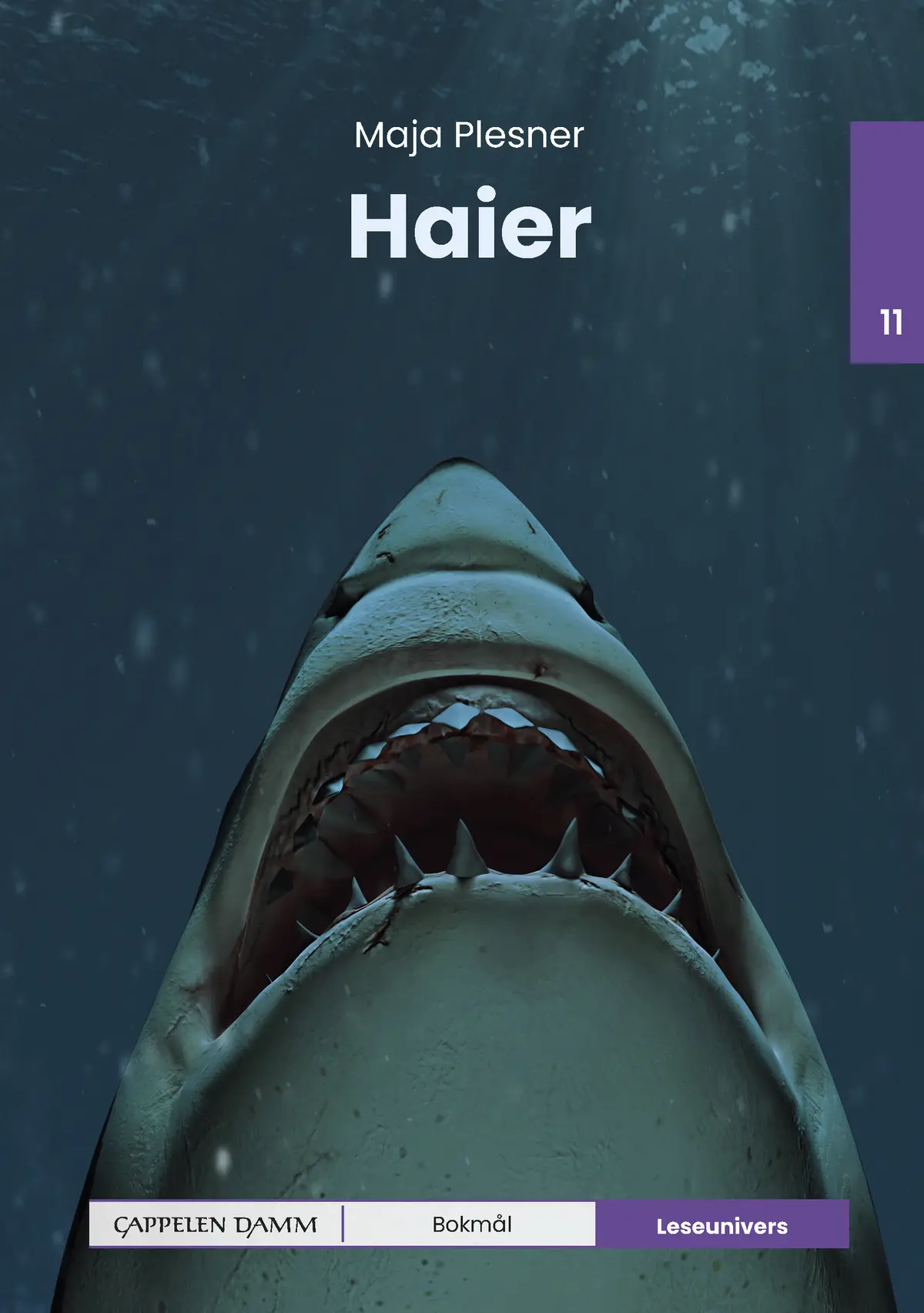 Leseunivers 11: Haier