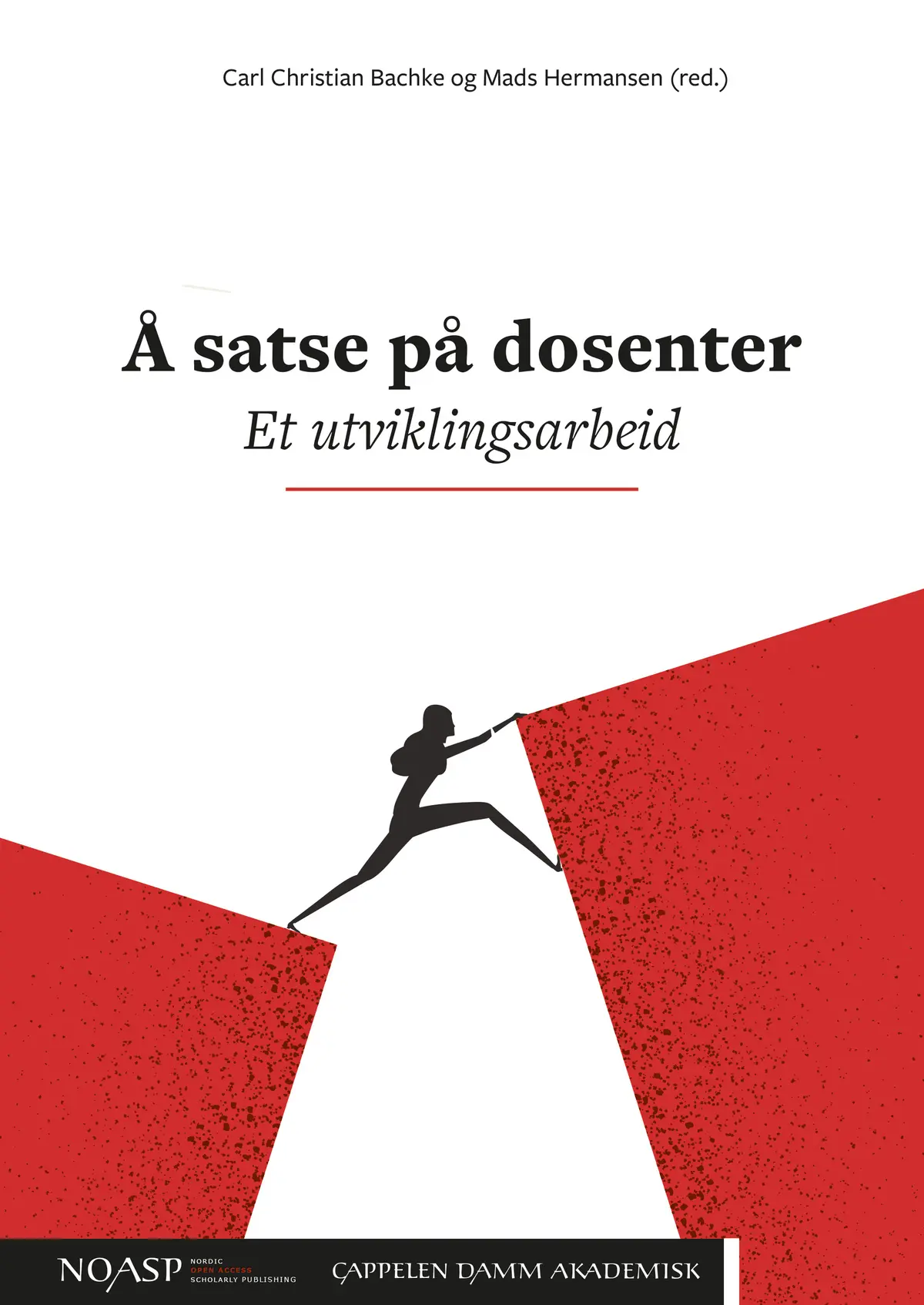 Å satse på dosenter
