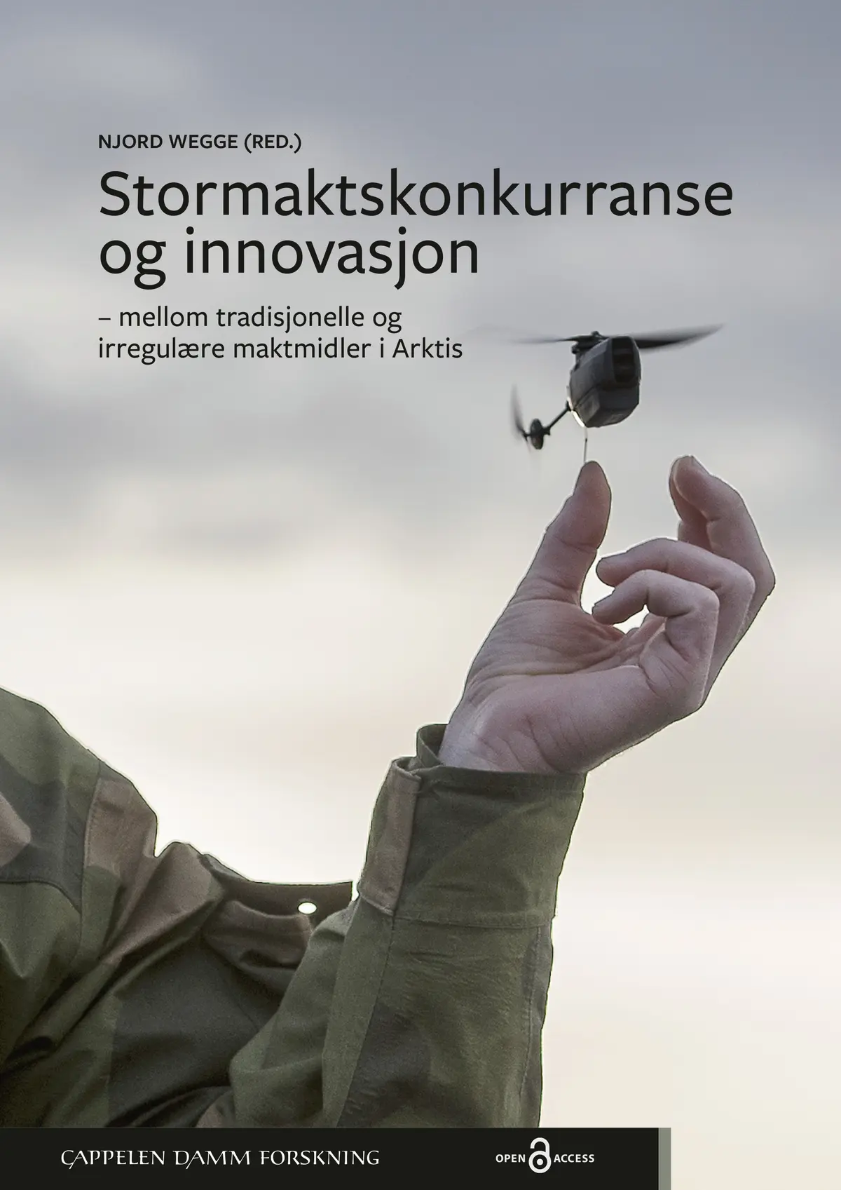 Stormaktskonkurranse og innovasjon – mellom tradisjonelle og irregulære maktmidler i Arktis