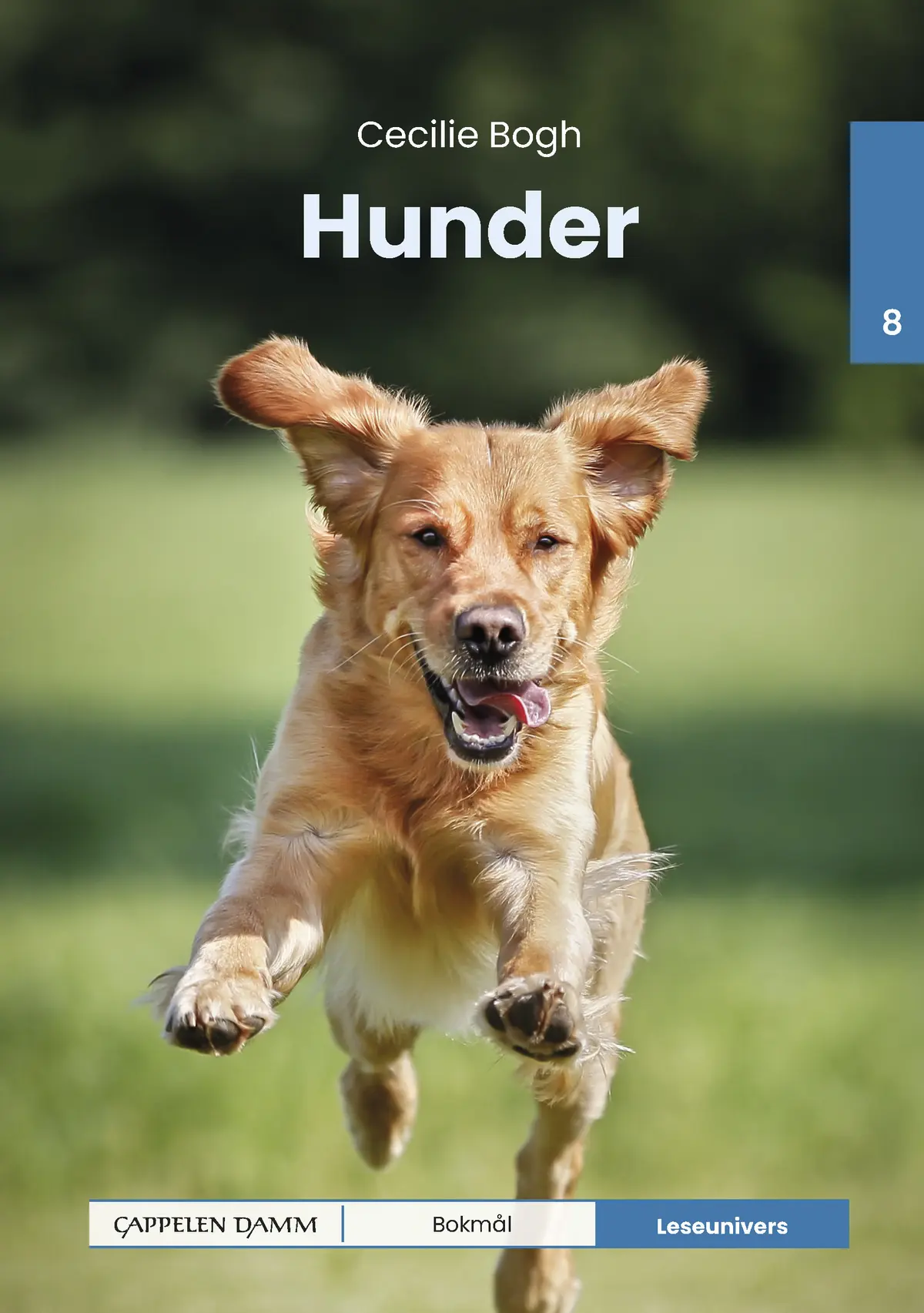 Leseunivers 8: Hunder
