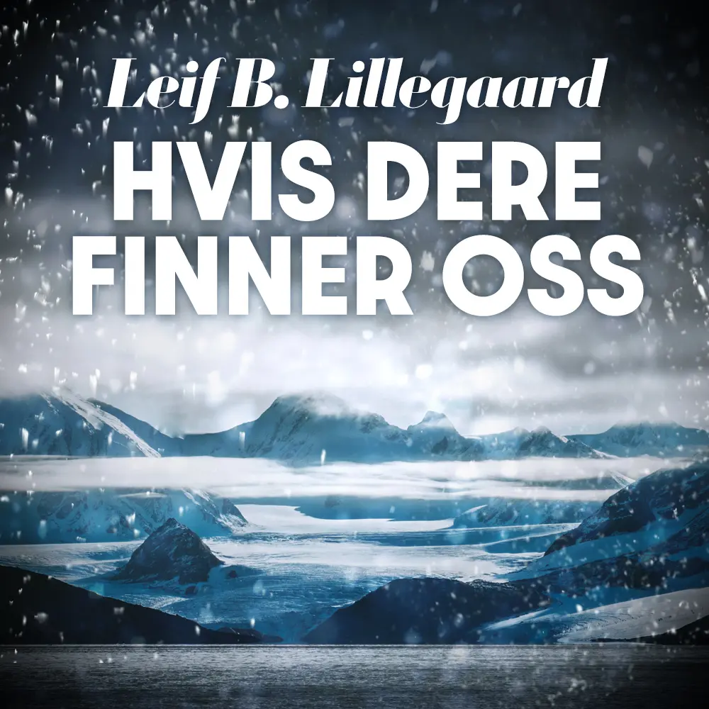 Hvis dere finner oss - Dokumentarroman om et drama i isødet