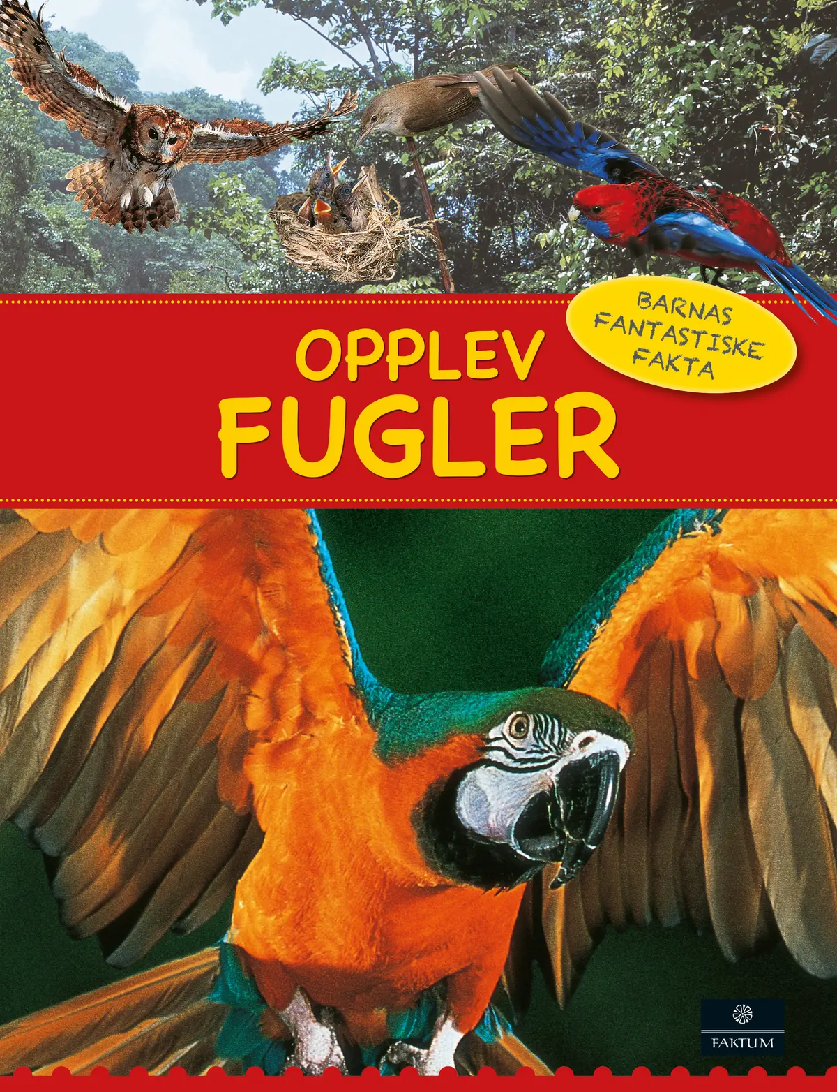 Opplev fugler