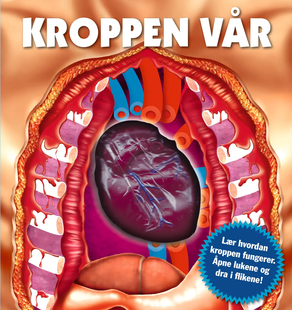 Kroppen vår