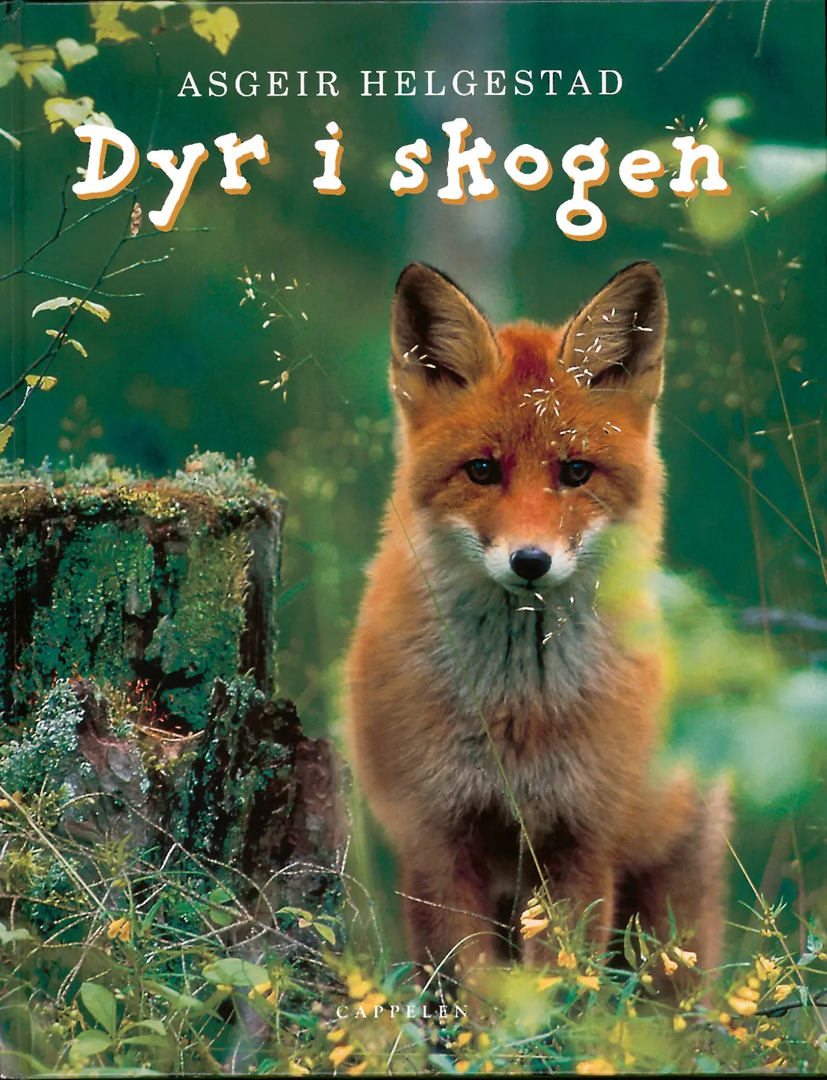 Dyr i skogen