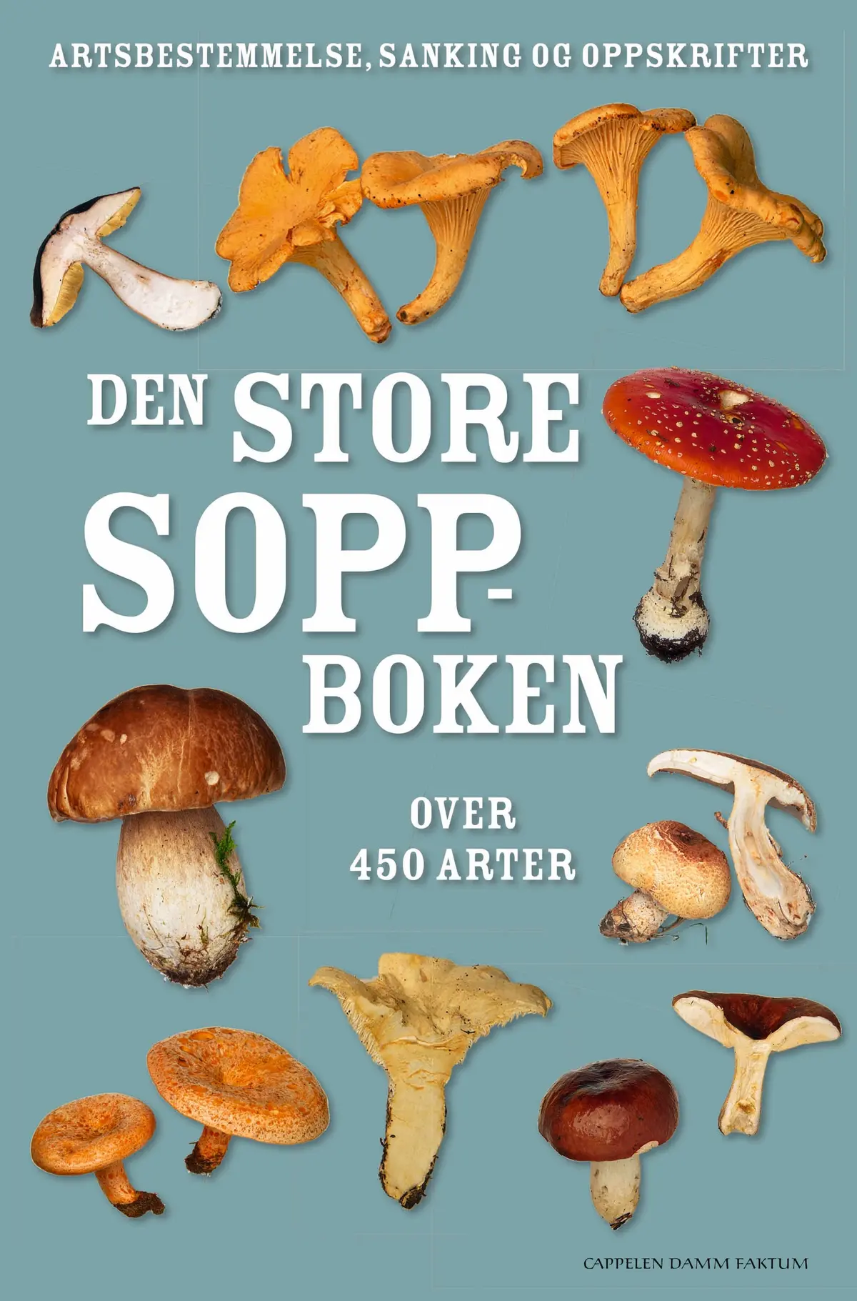 Den store soppboken