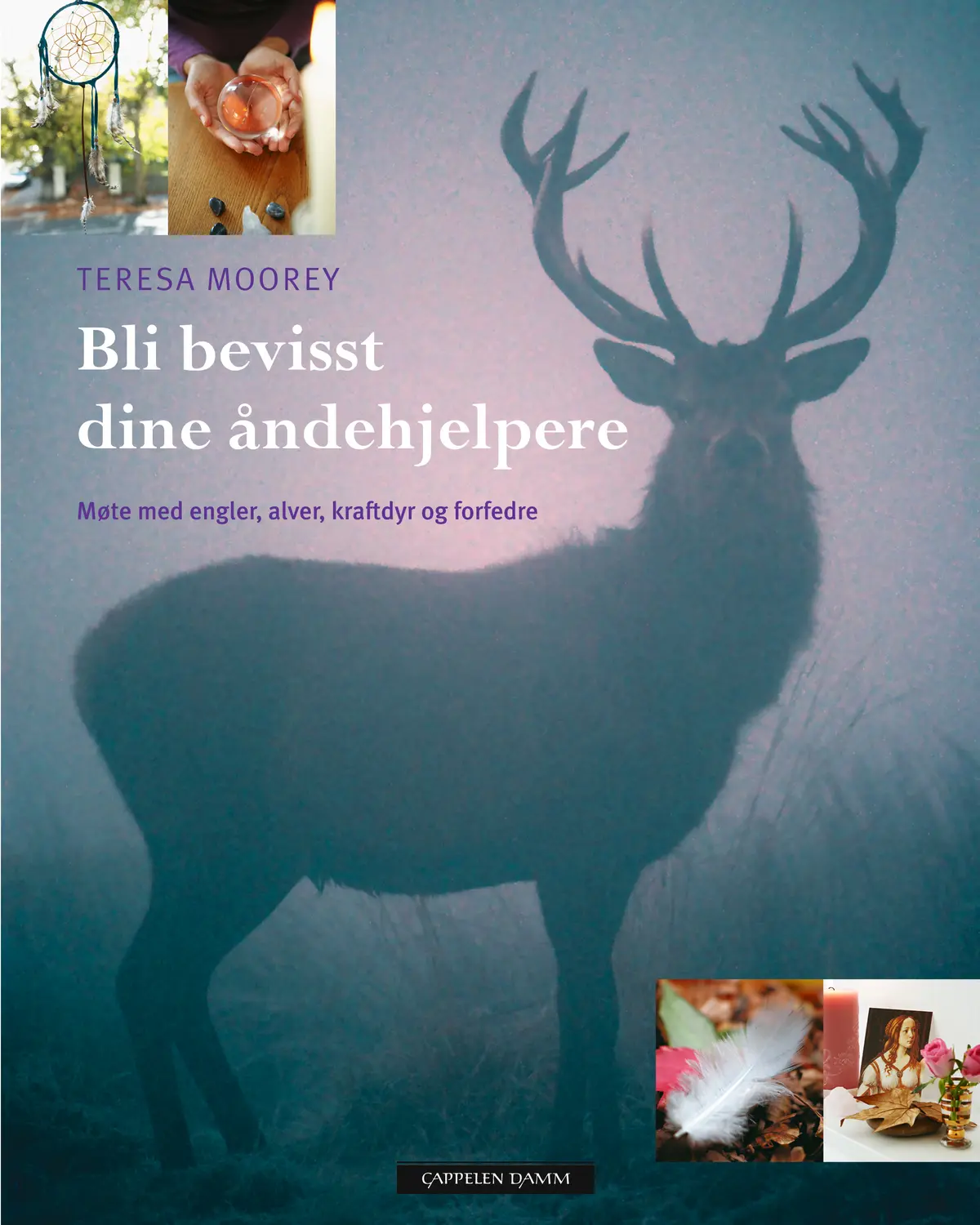 Bli bevisst dine åndehjelpere