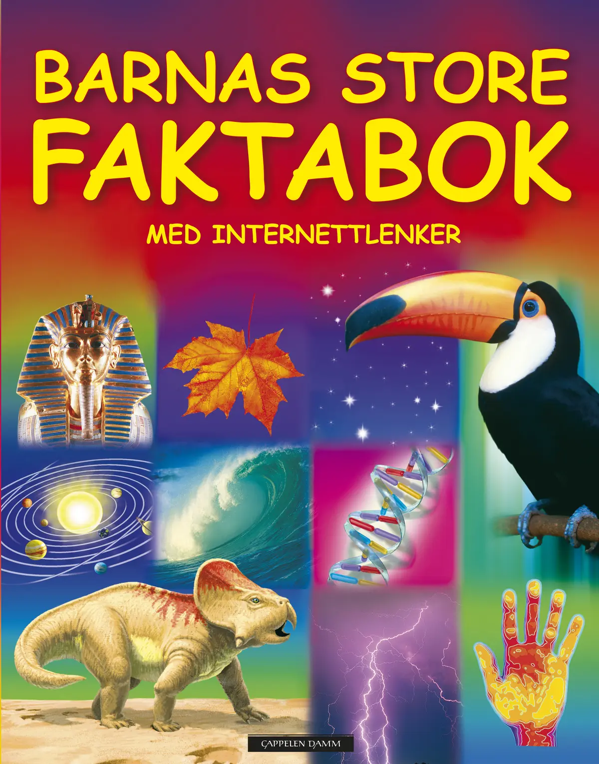 Gavebøker 2/2009 Barnas store faktabok