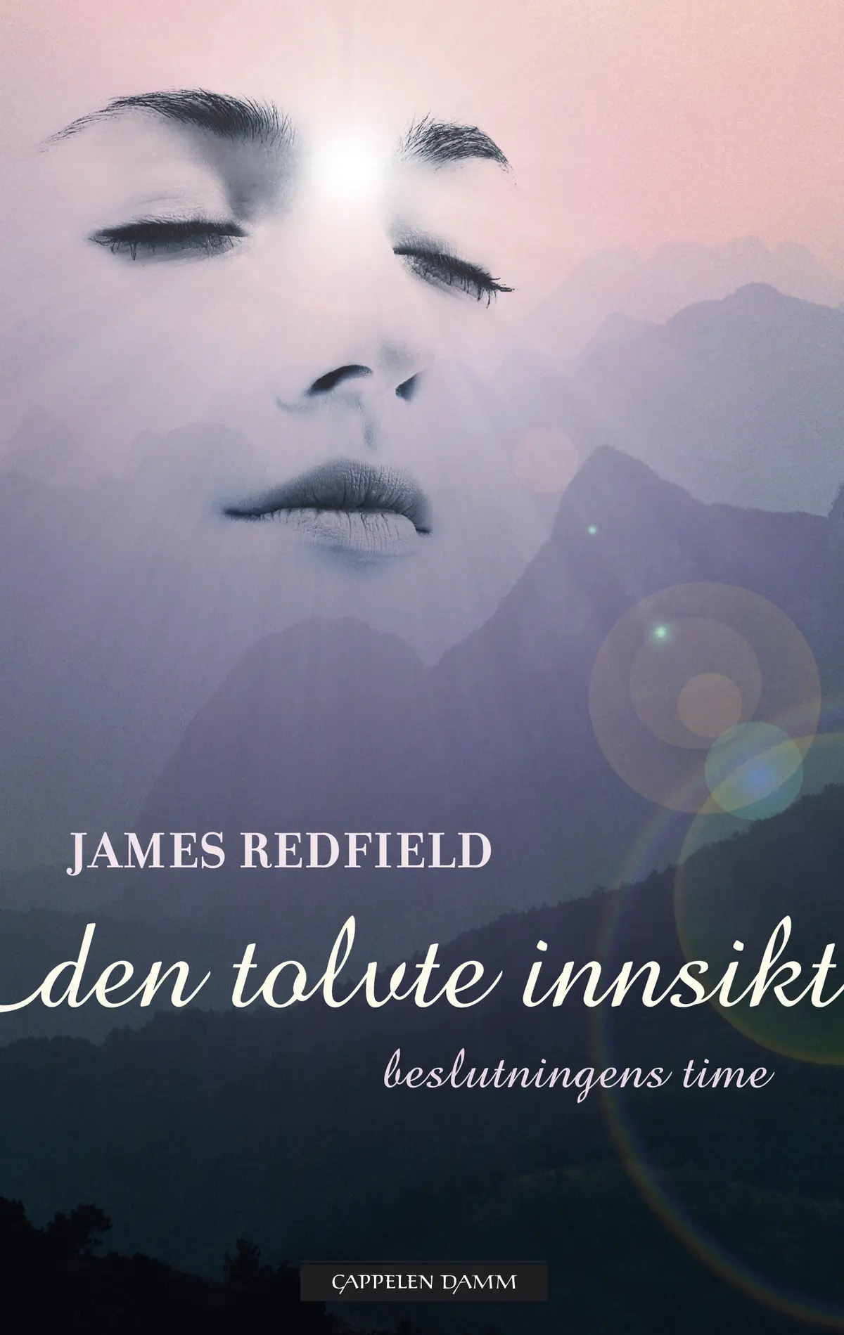 Den tolvte innsikt