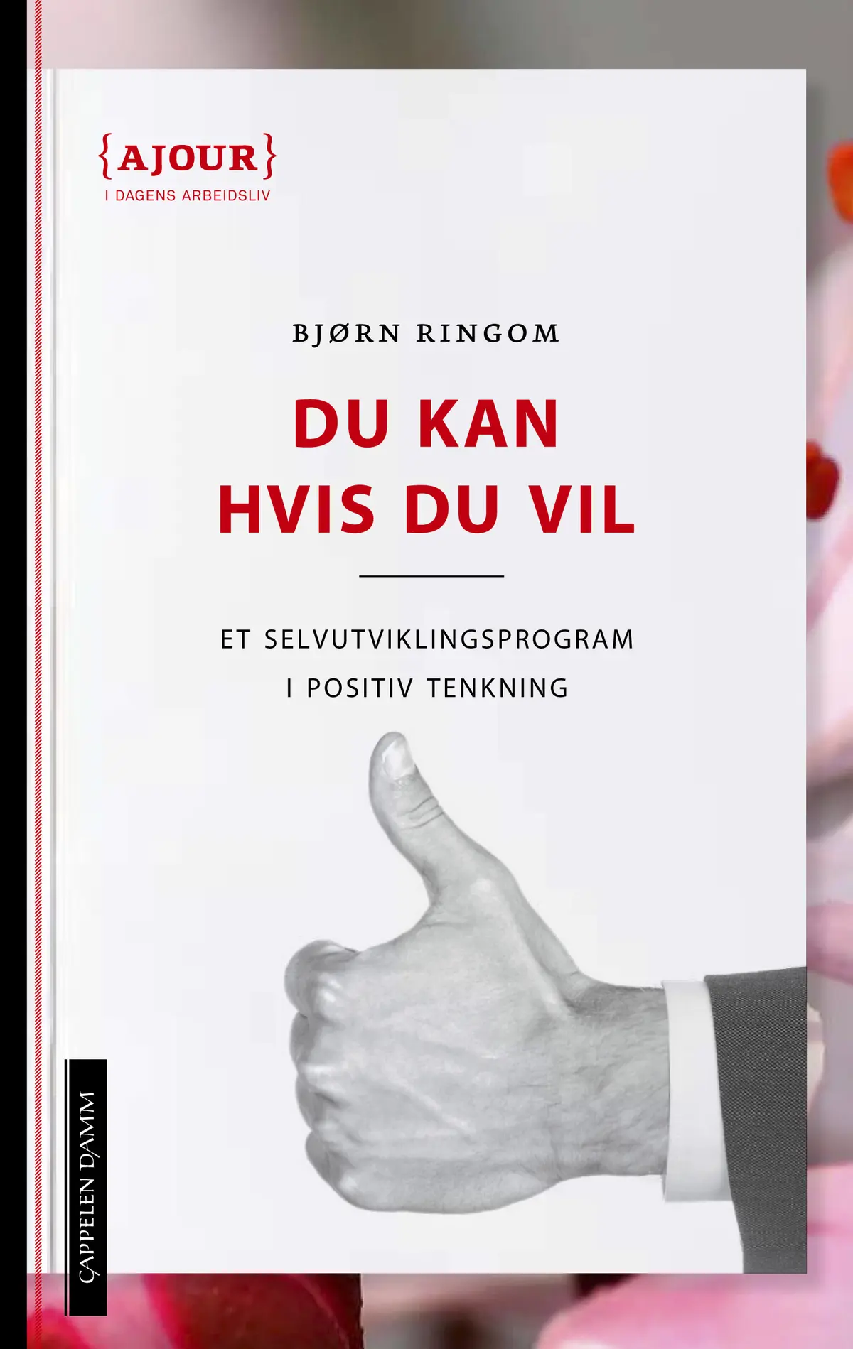 Du kan hvis du vil