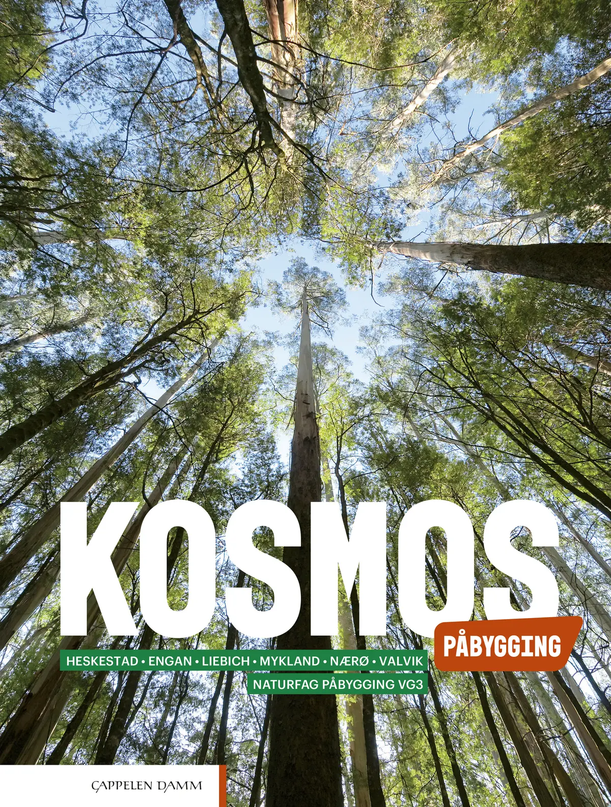 Kosmos Påbygging (2022)