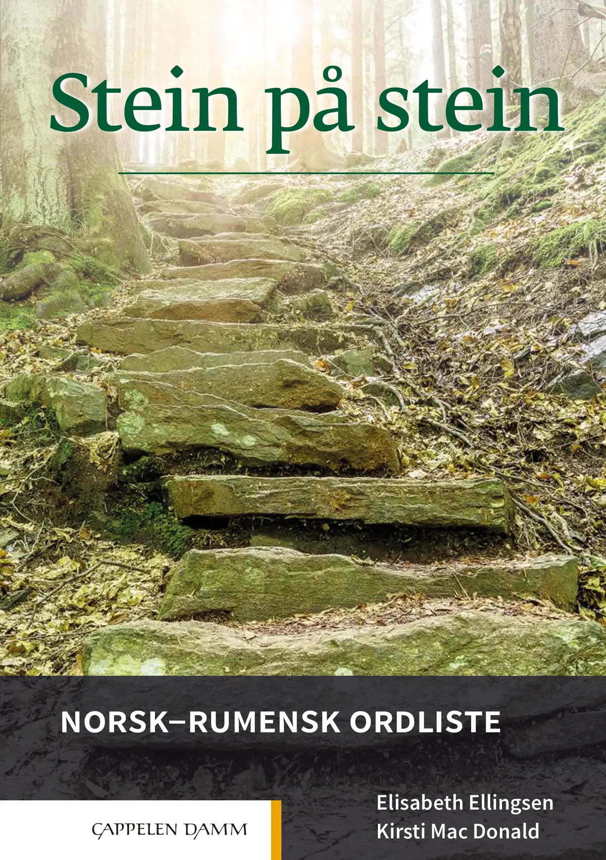Stein på stein Norsk-rumensk ordliste (2021)
