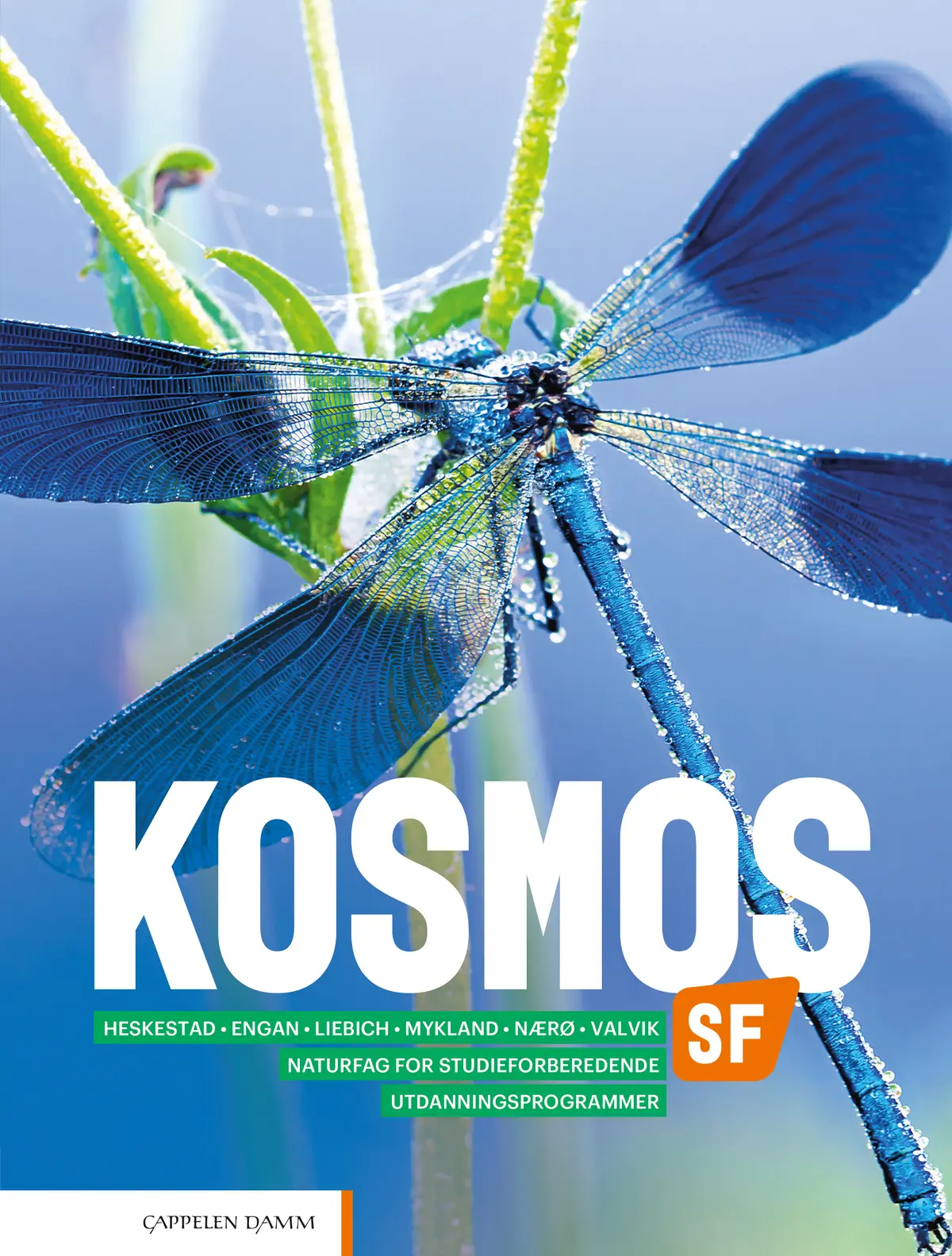 Kosmos SF (2020)
