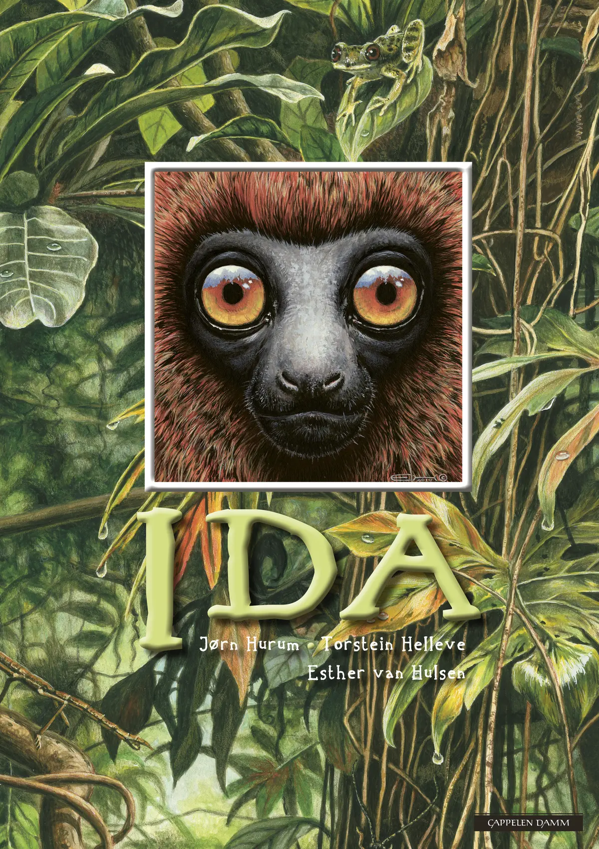 Ida (nynorsk)