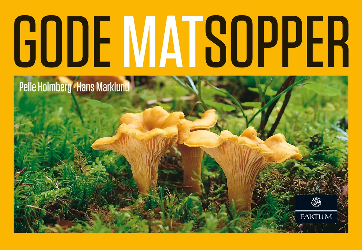 Gode matsopper