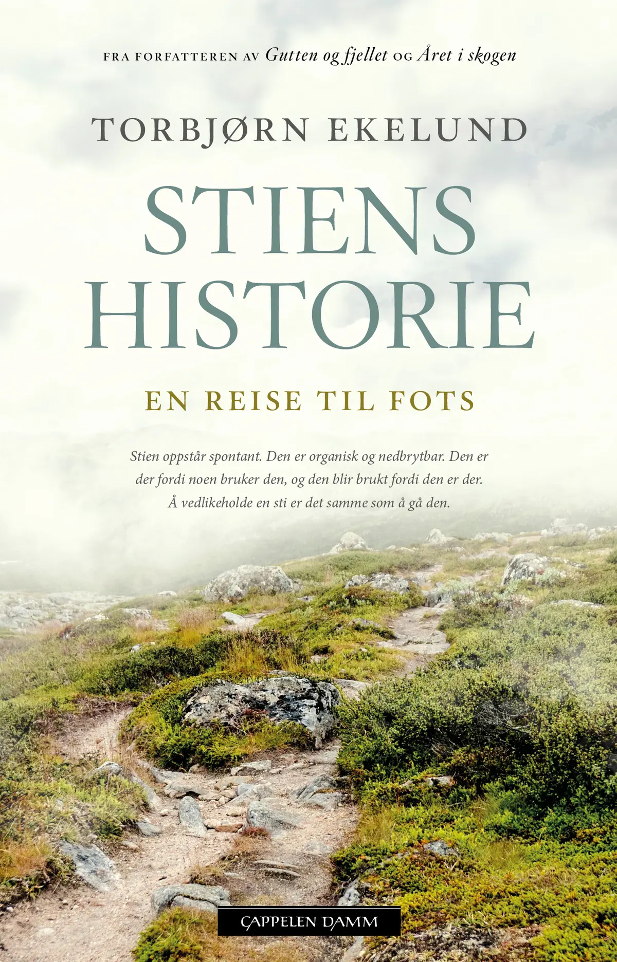Stiens historie