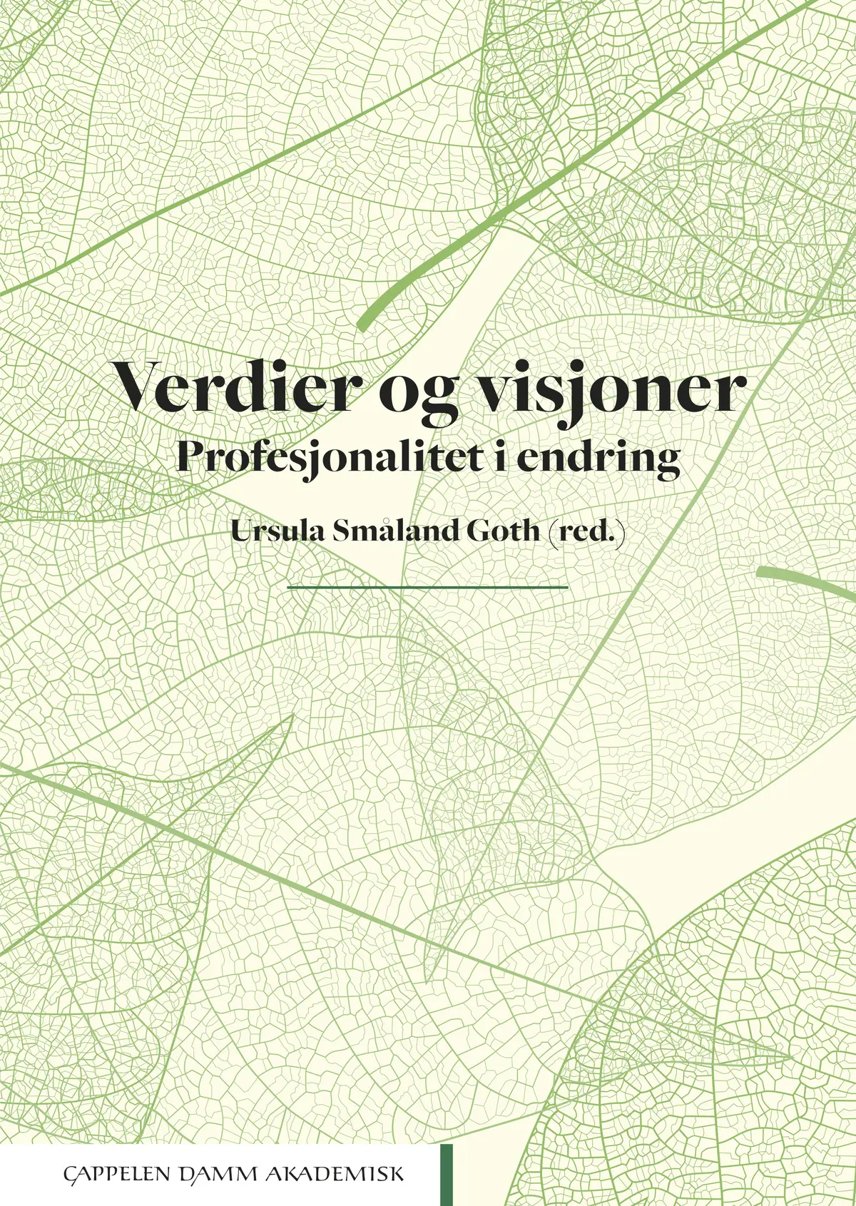 Verdier og visjoner