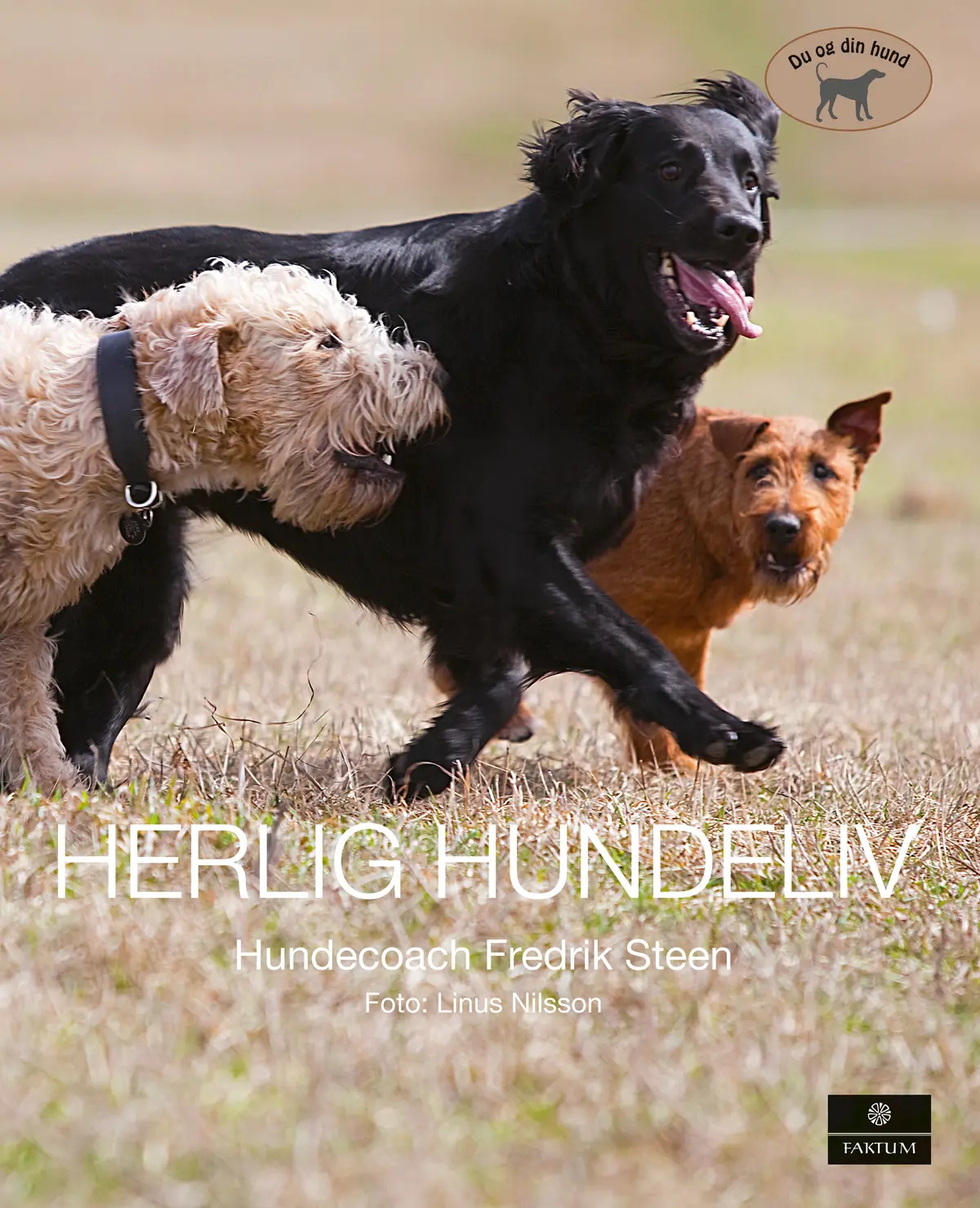 Herlig hundeliv