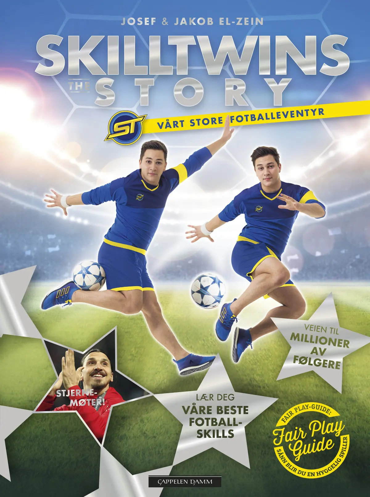 SkillTwins - The story