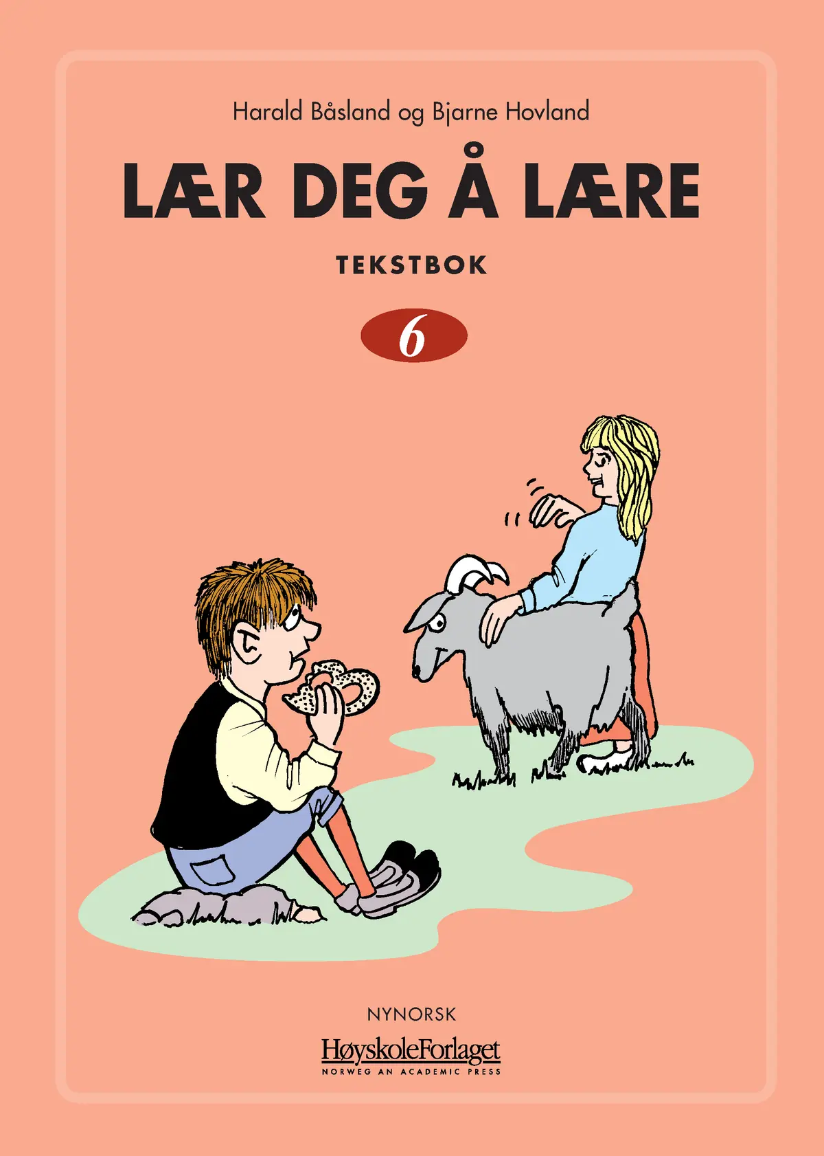 Lær deg å lære 6 nynorsk