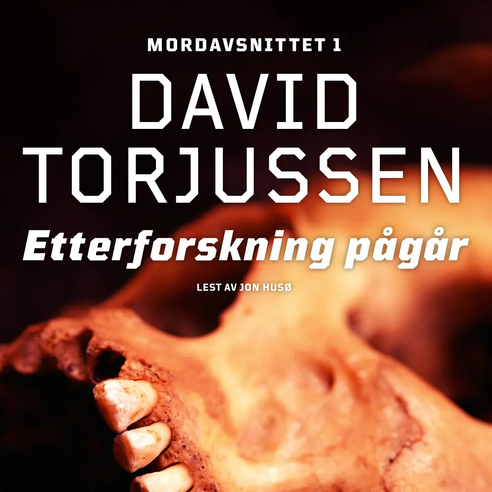 Etterforskning pågår
