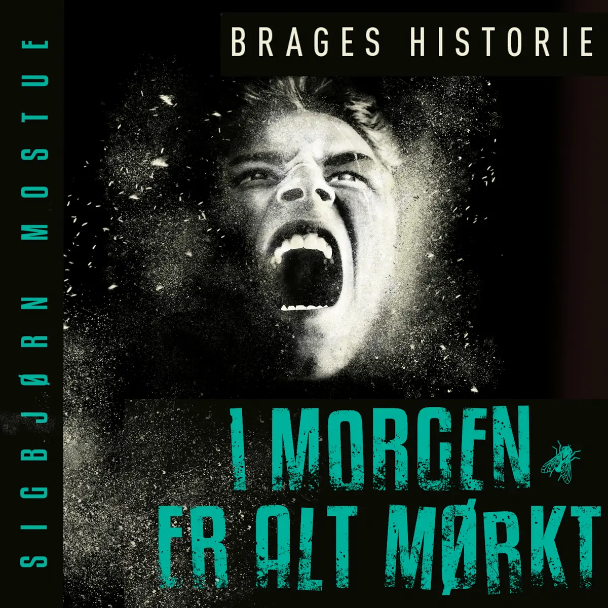 I morgen er alt mørkt: Brages historie