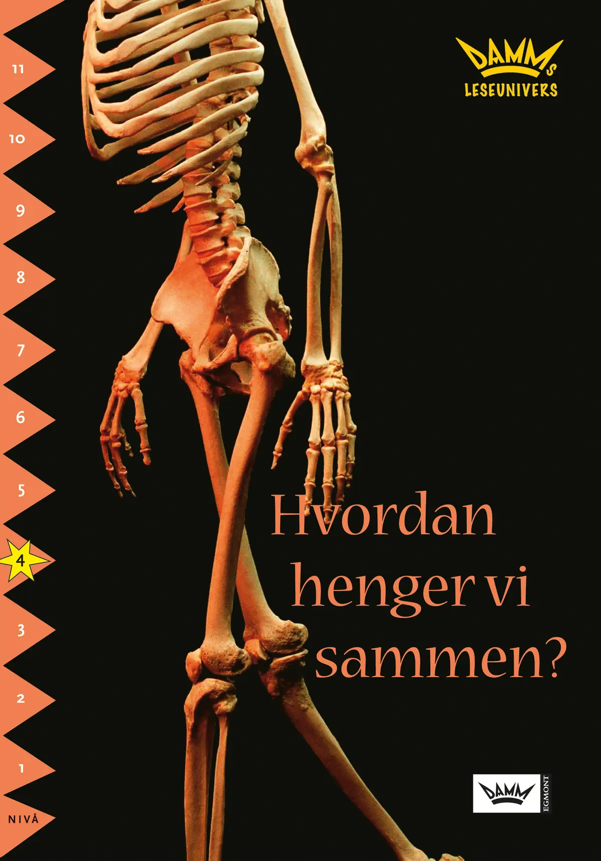 Damms leseunivers 1: Hvordan henger vi sammen?