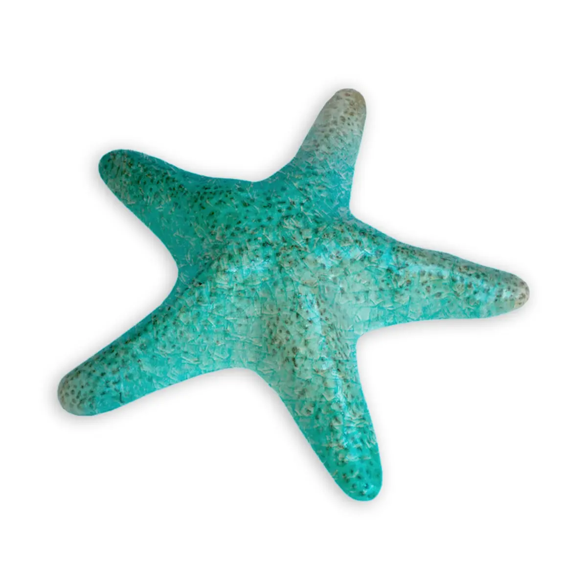 Dekorasjonssjøstjerne Coral