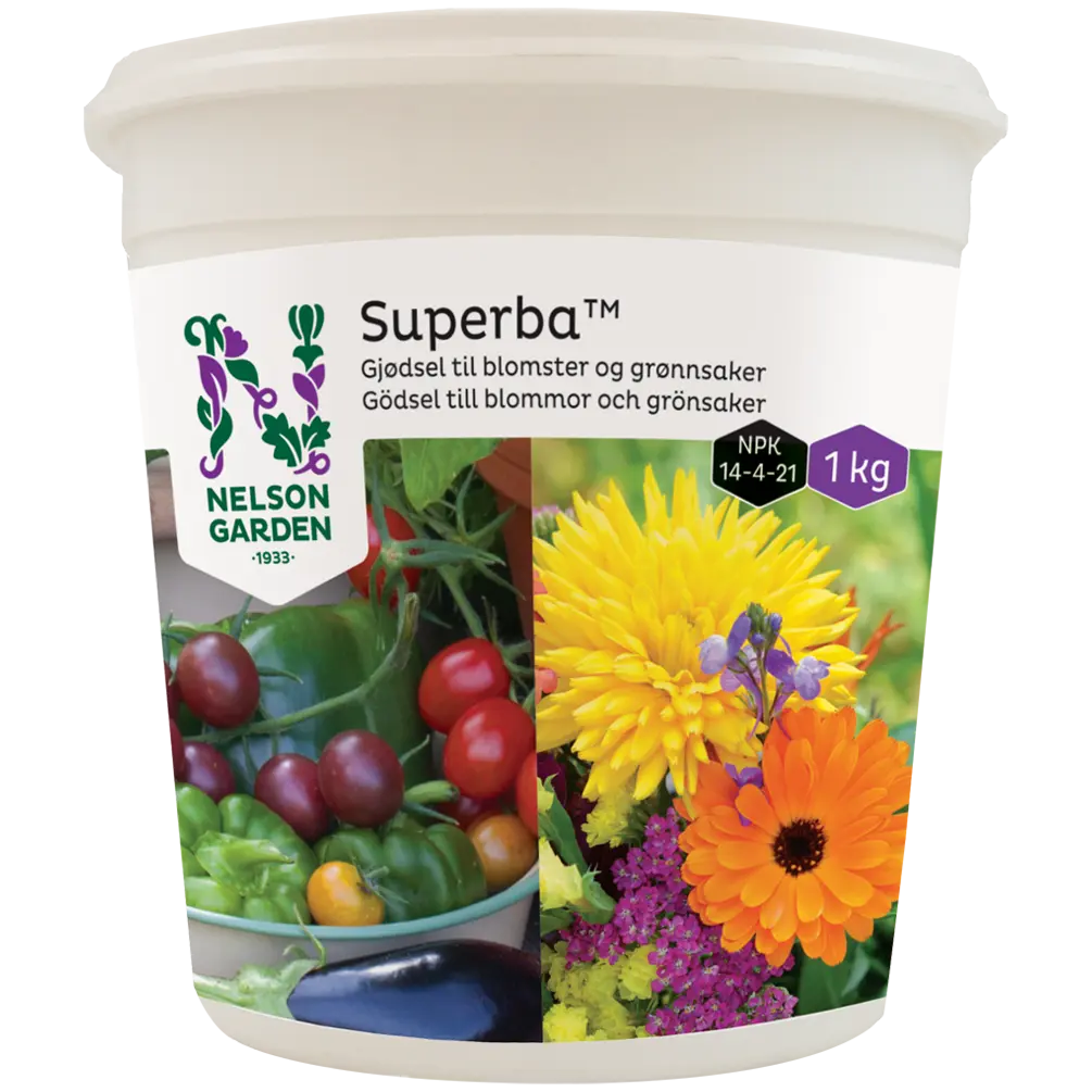 Superba