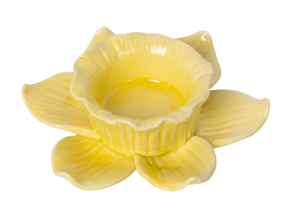 Lysholder Daffodil