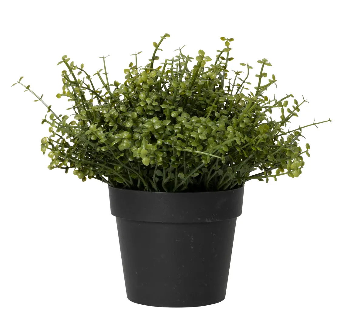 Urteplante i potte kunstig