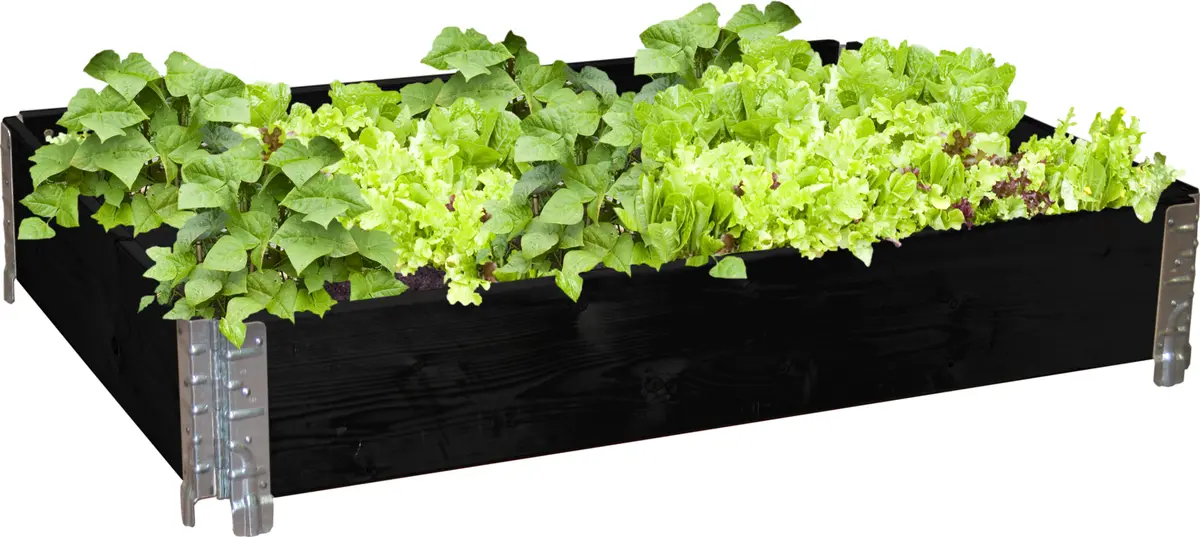 Pallekarm