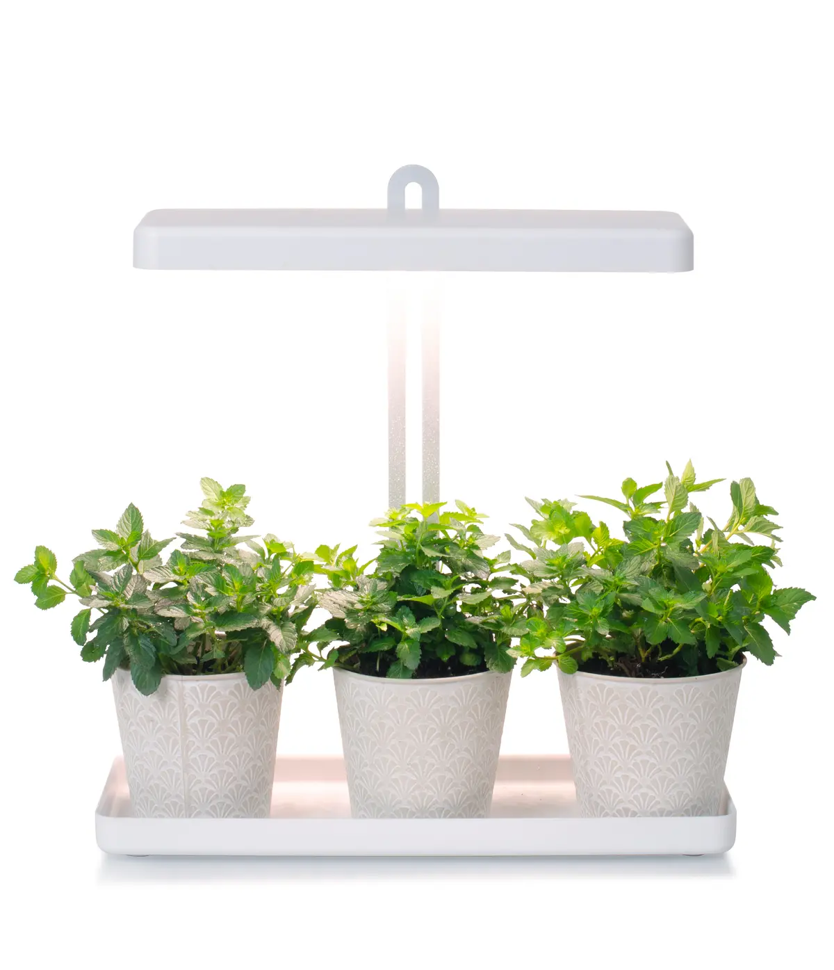 LED-plantebelysning