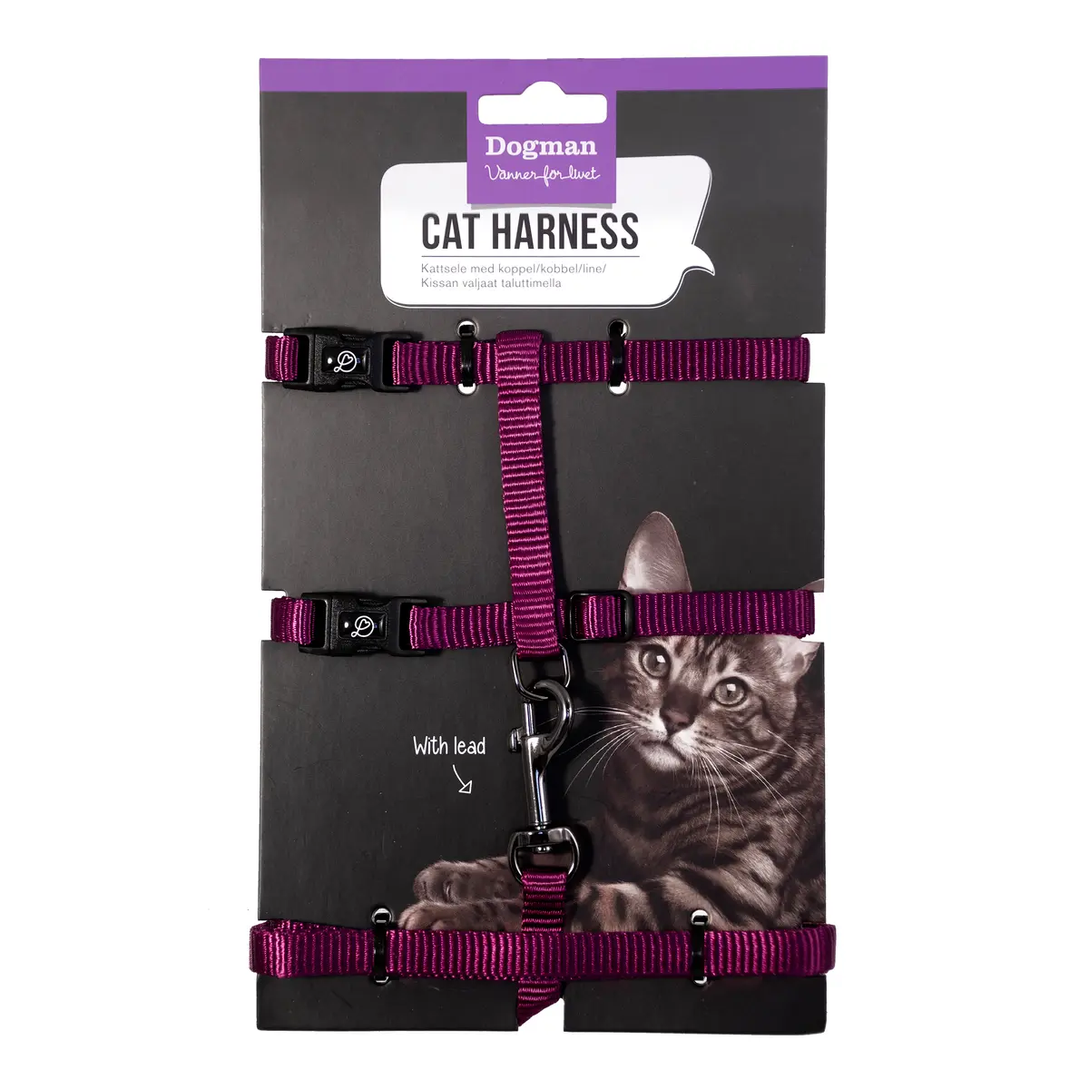 Kattsele-set Findus Lila