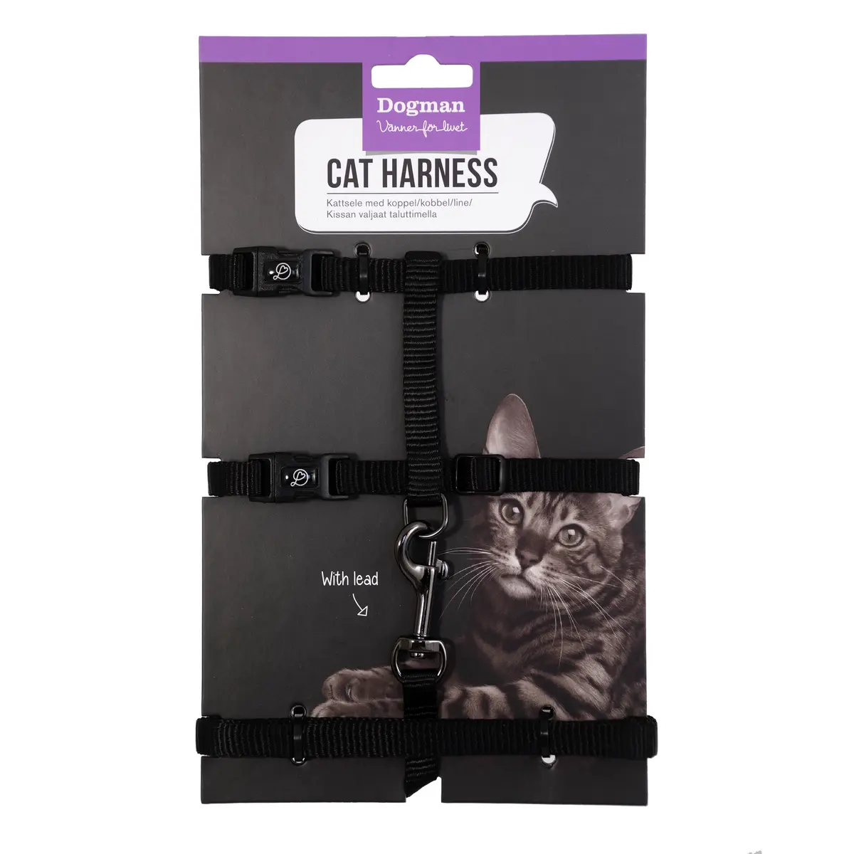 Kattsele-set Findus Svart