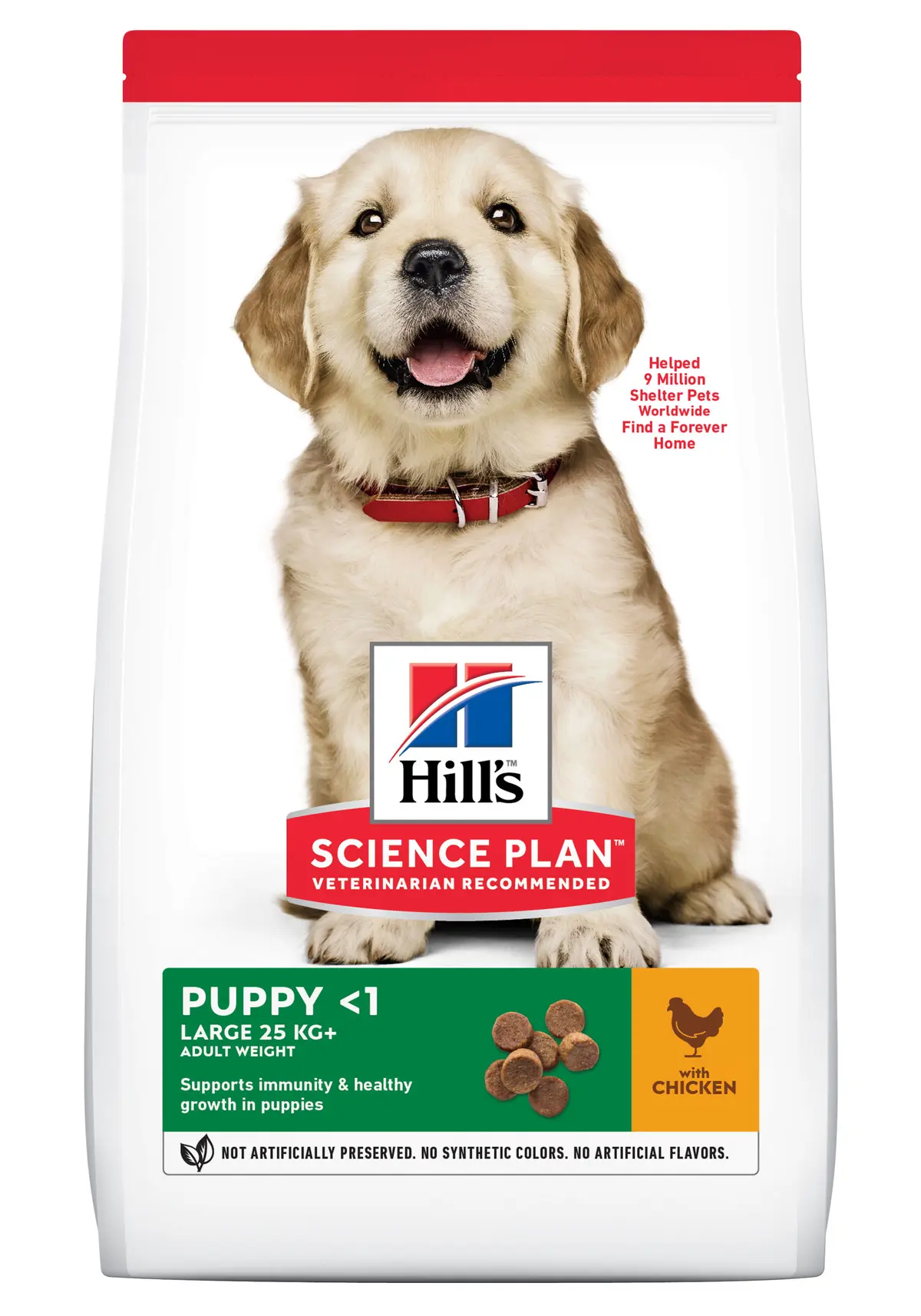 Hill's Large breed Puppy