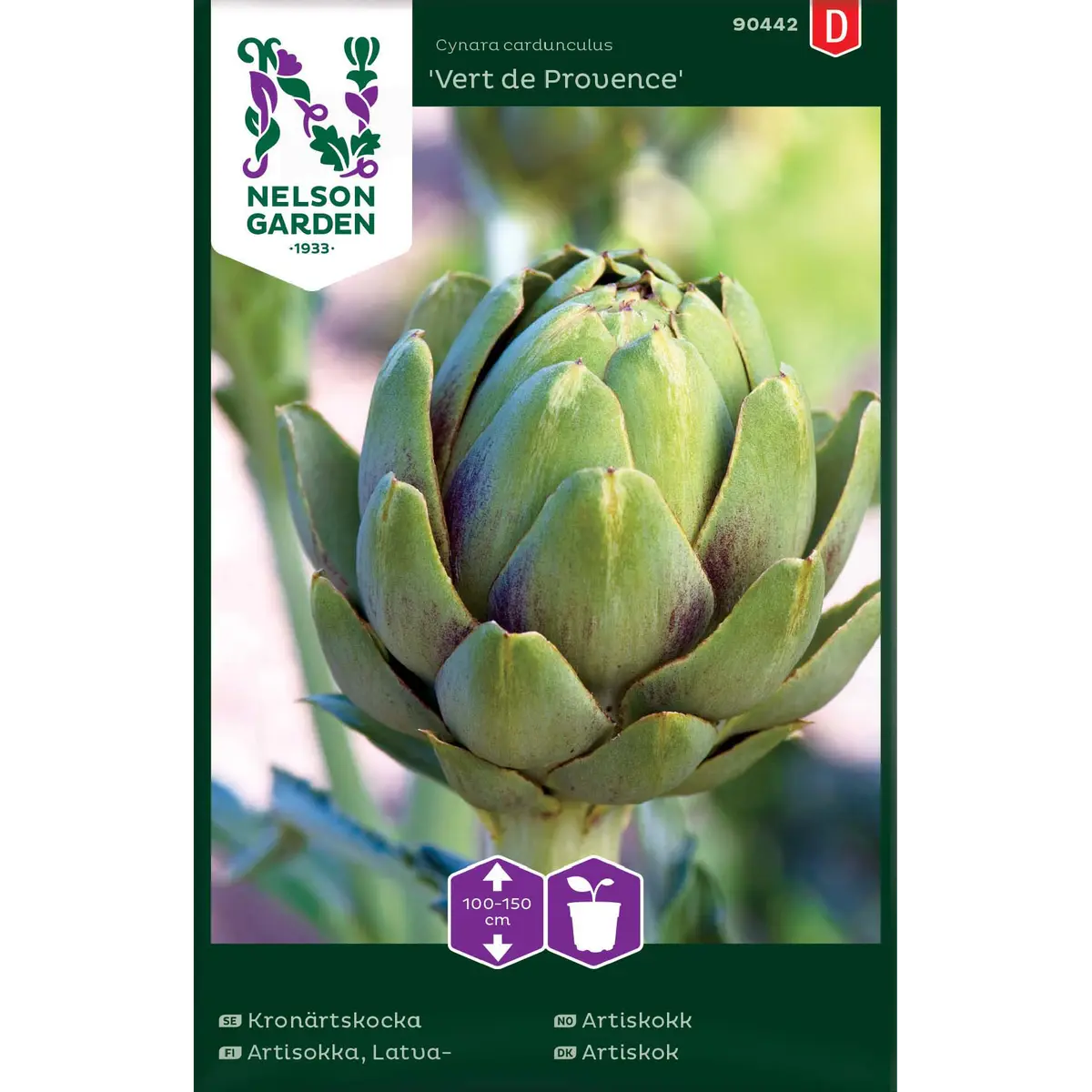 Artiskokk 'Vert de Provence'