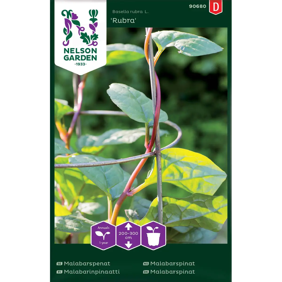 Malabarspinat 'Rubra'