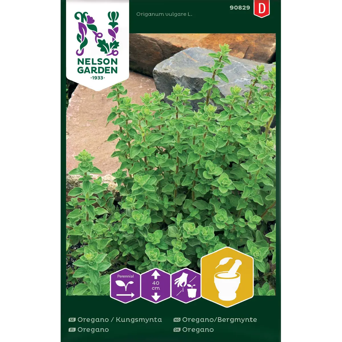 Oregano
