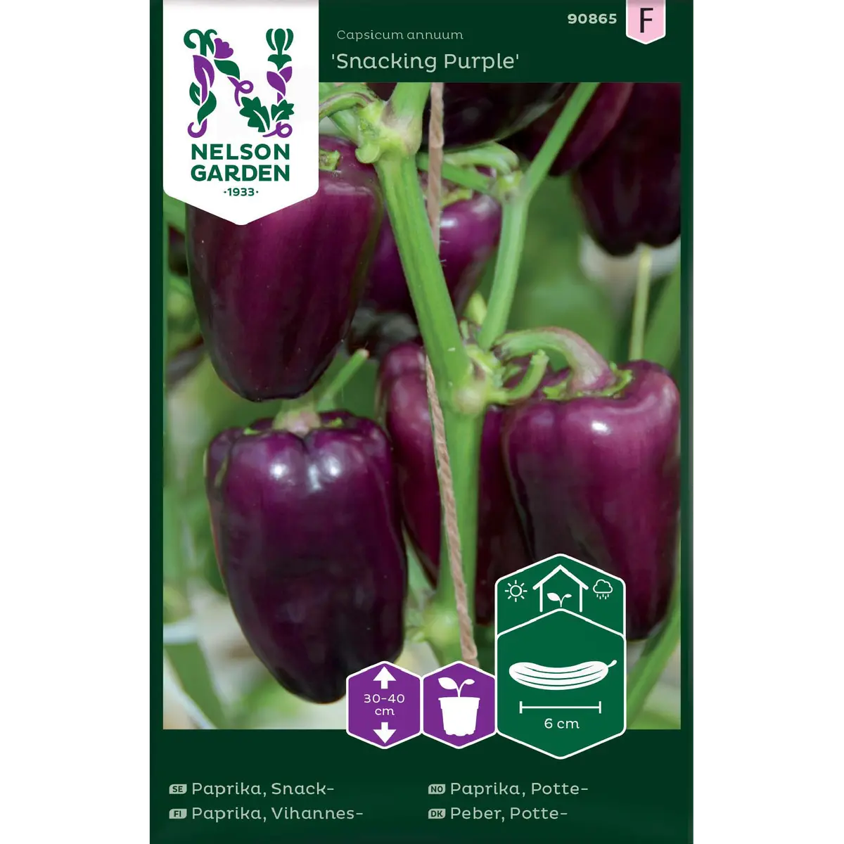 Pottepaprika 'Snacking Purple'